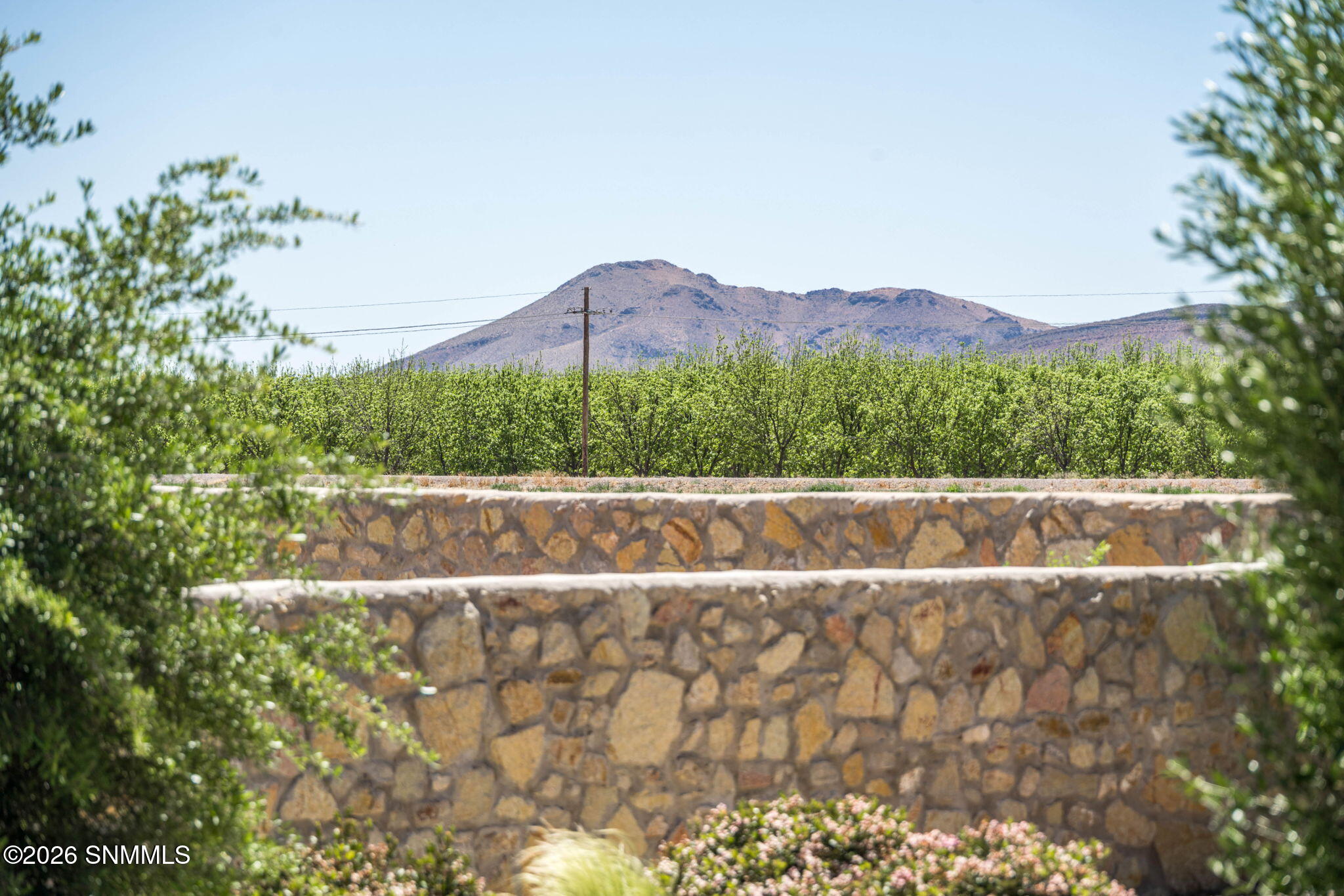 60-web-or-mls-Snappin Homes (RedCap391)-