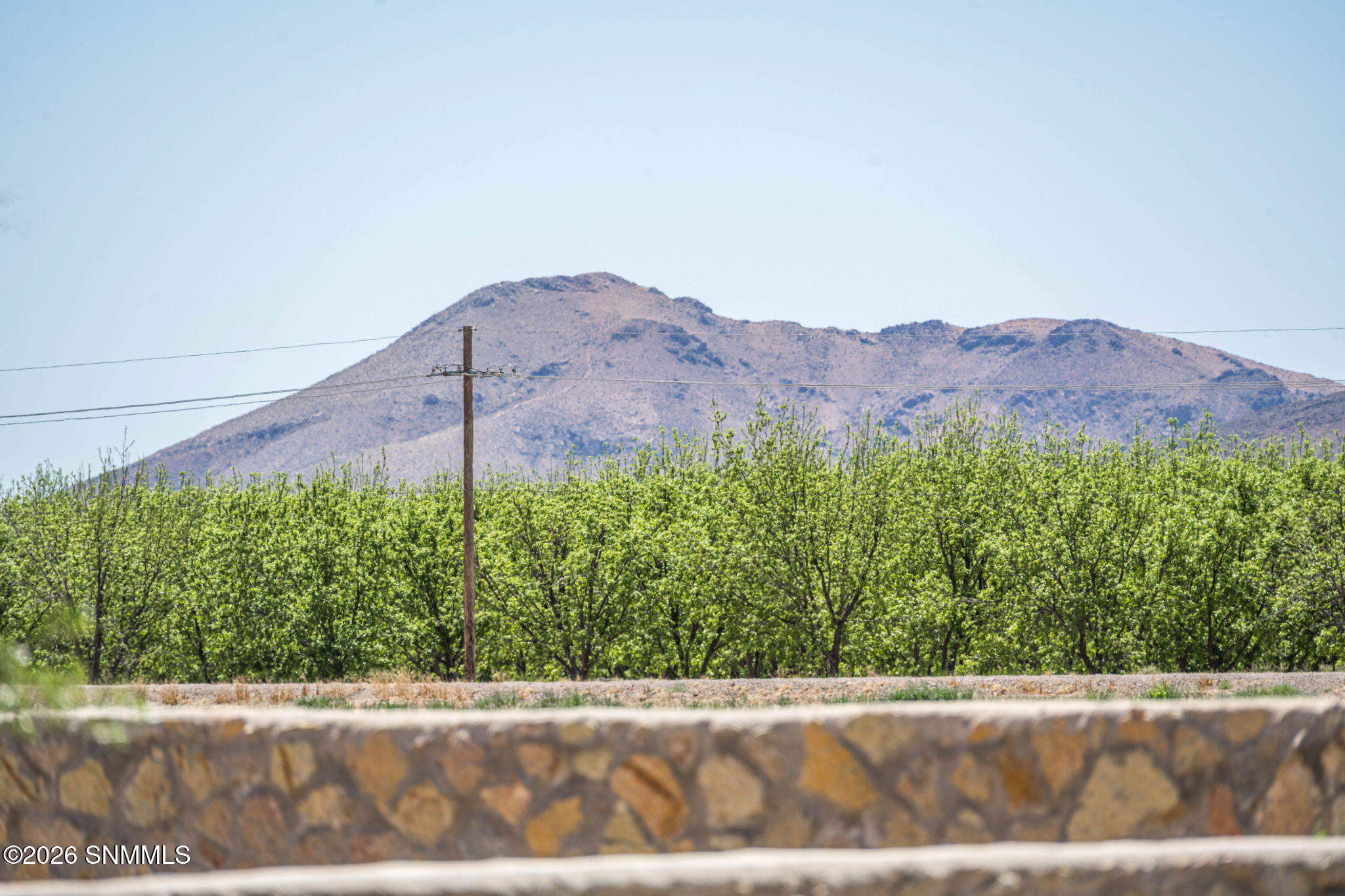 61-web-or-mls-Snappin Homes (RedCap391)-