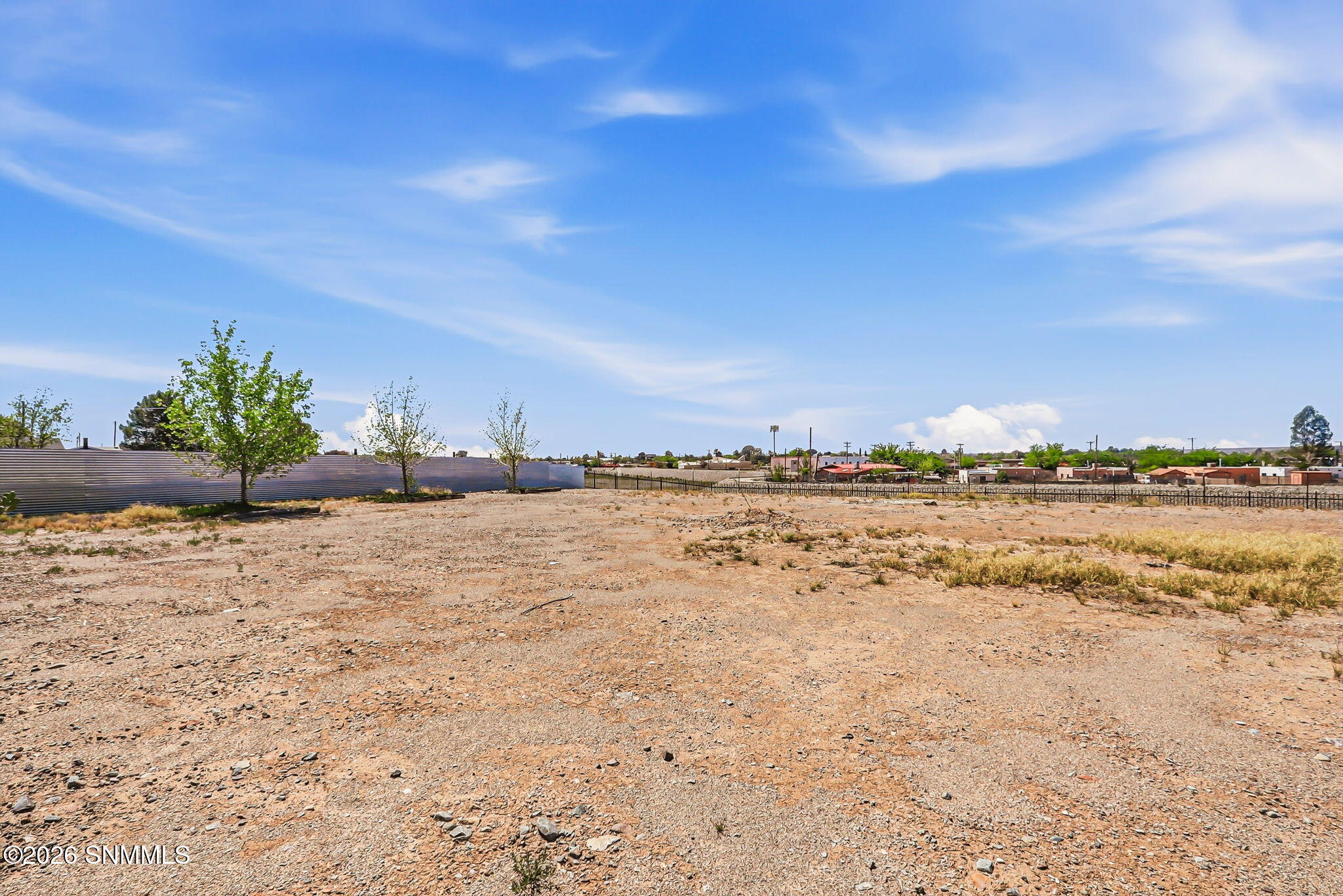 66-web-or-mls-IMG_8805