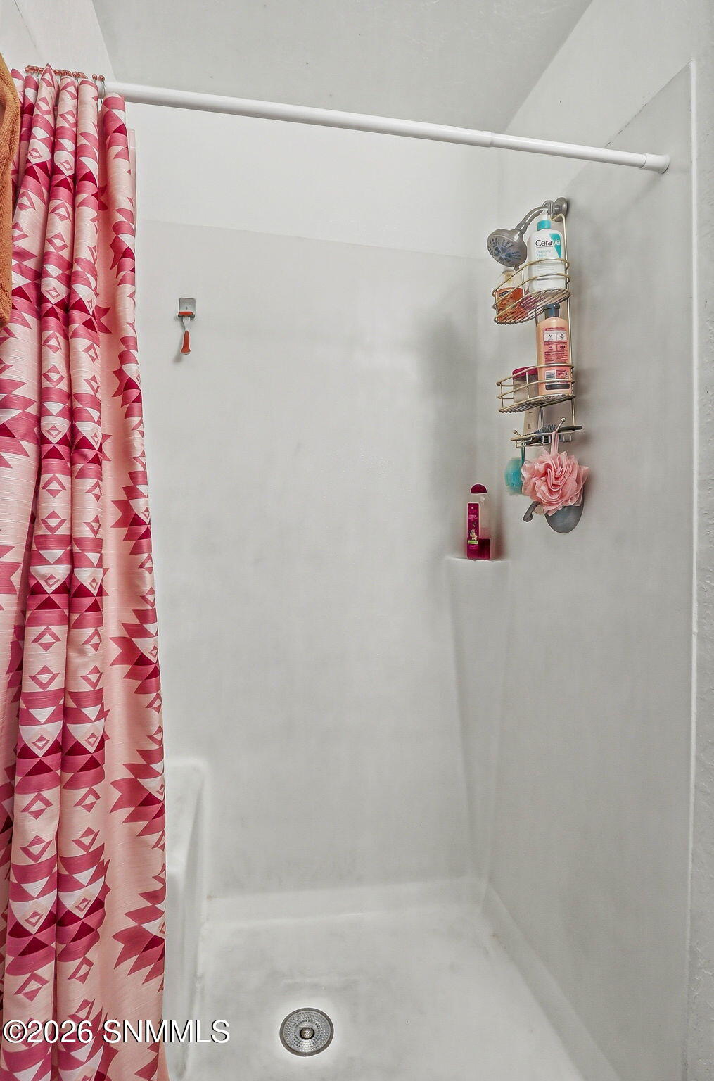 22-web-or-mls-IMG_3939