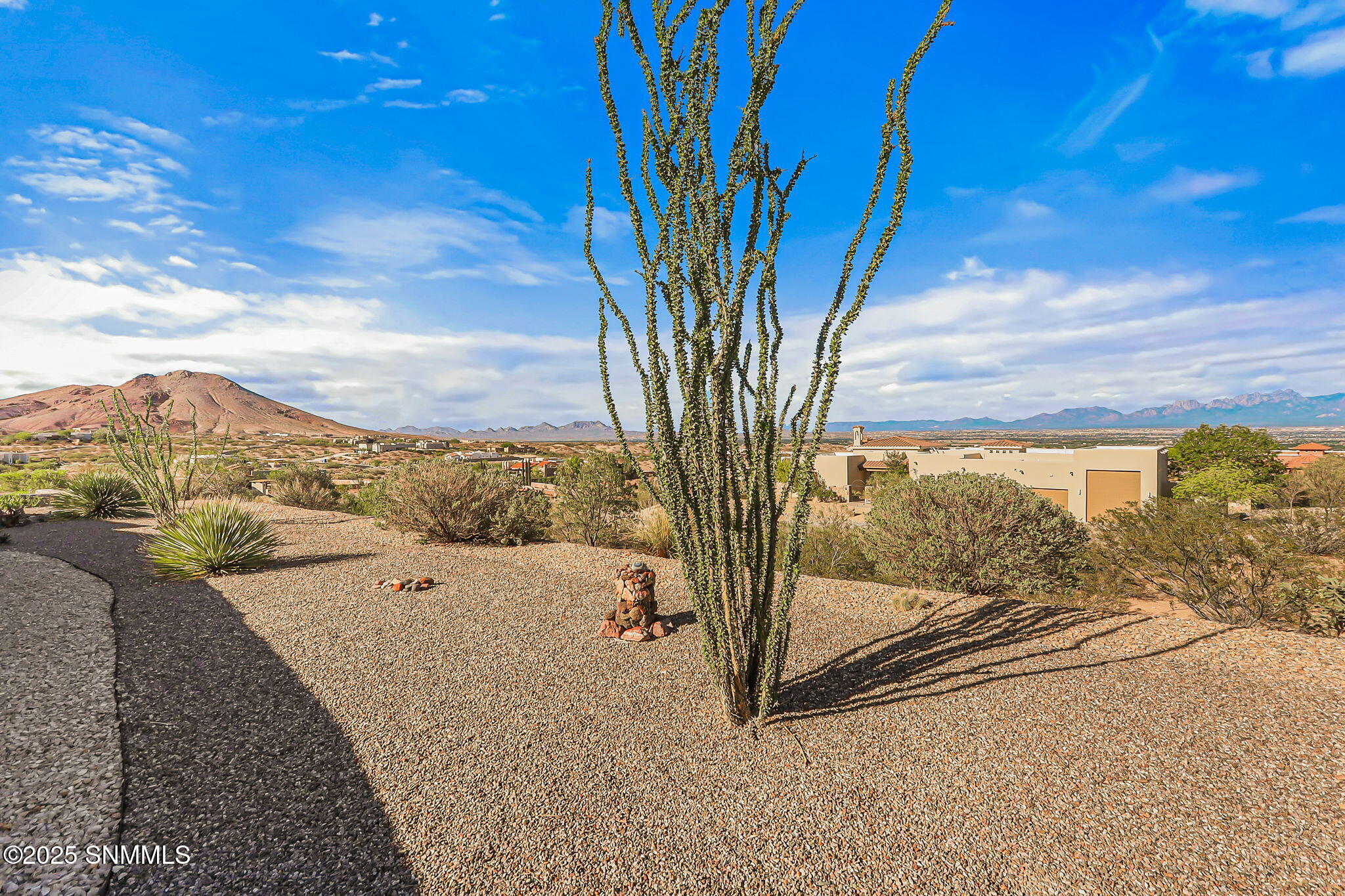 69-web-or-mls-IMG_8023