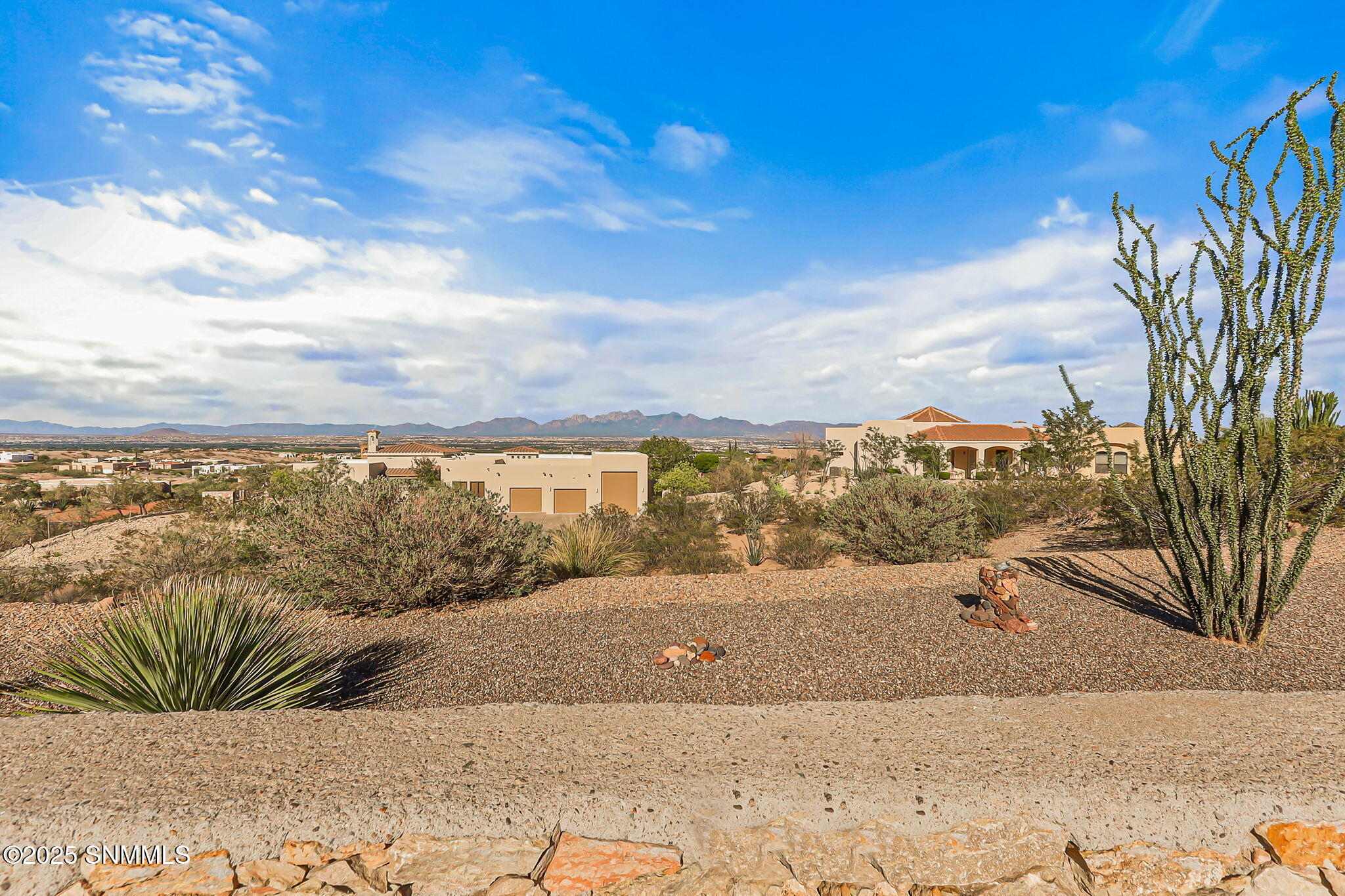 81-web-or-mls-IMG_8114