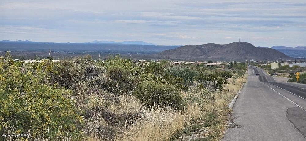 5113 Silver King 20260413_091513_resized