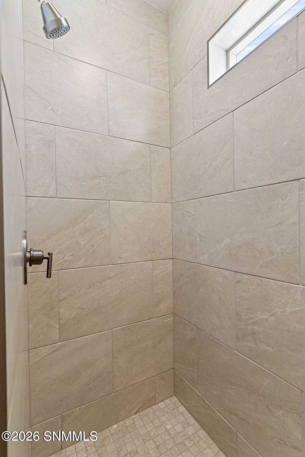 Primary Walk-in Shower