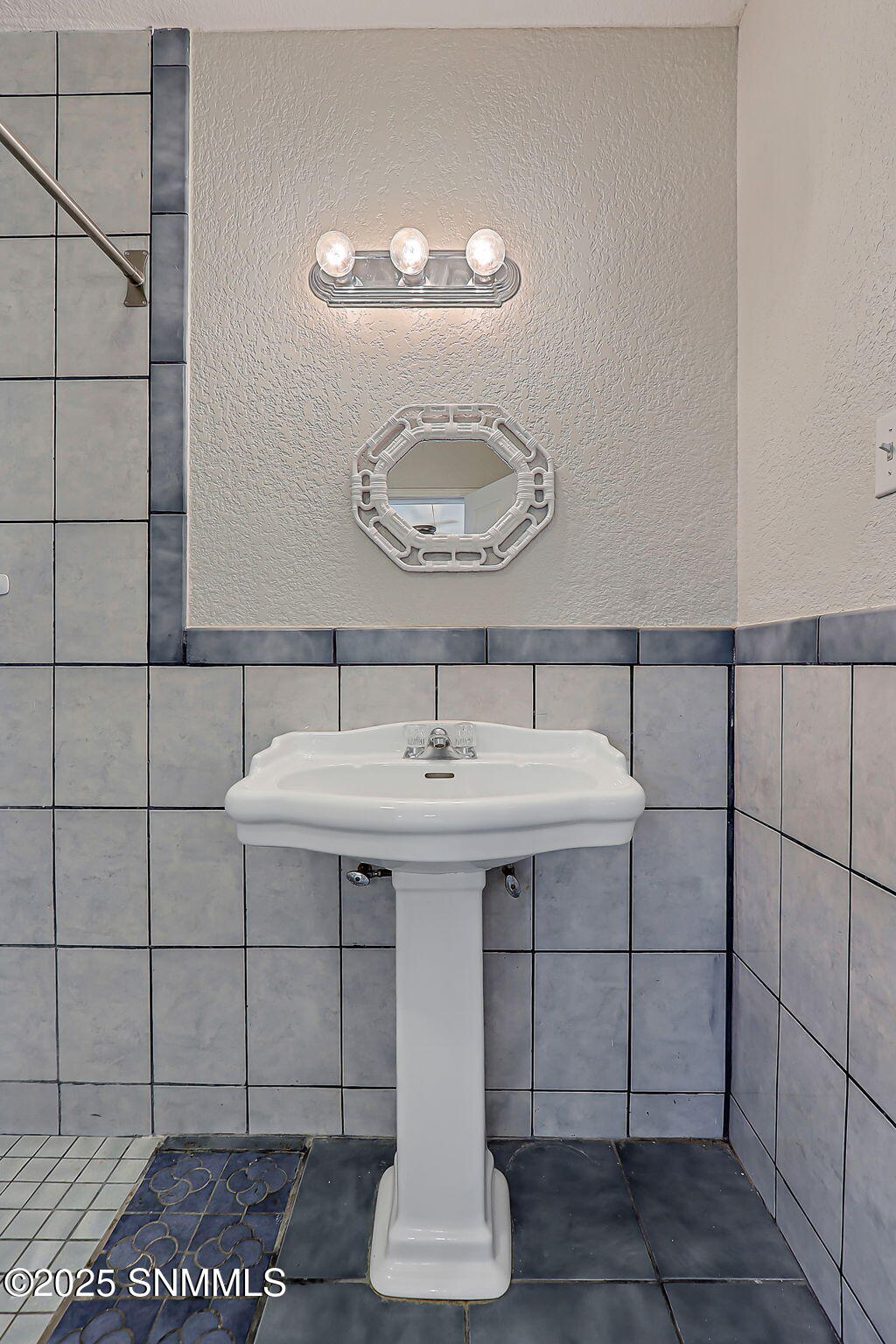 45-web-or-mls-IMG_2791