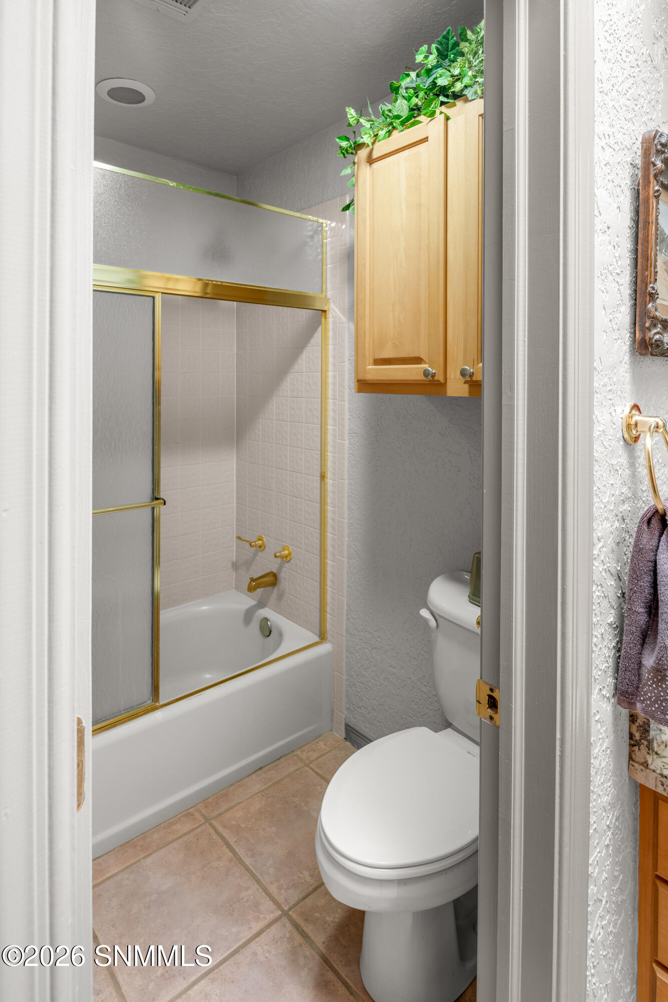 1606-Via-Diamante-MLS-Camera-Guy-40