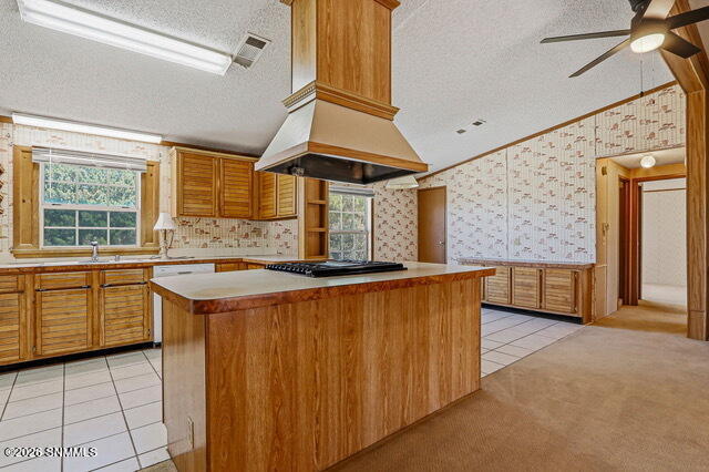 35-web-or-mls-IMG_5393