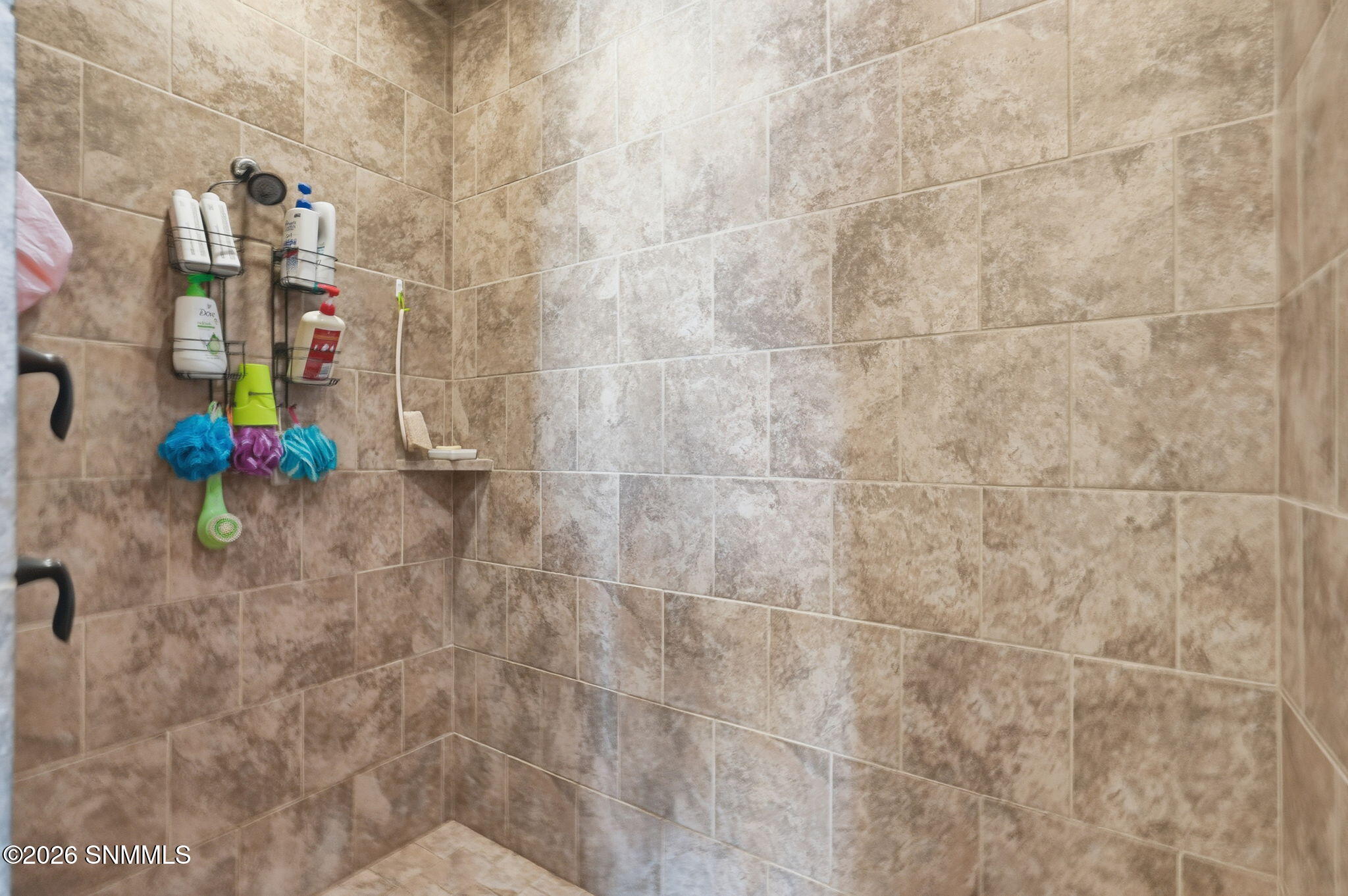 30-web-or-mls-DSC05014