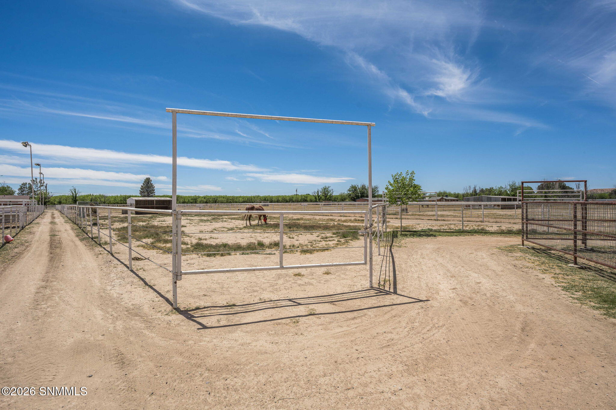 60-web-or-mls-Snappin Homes (Casad608)-6