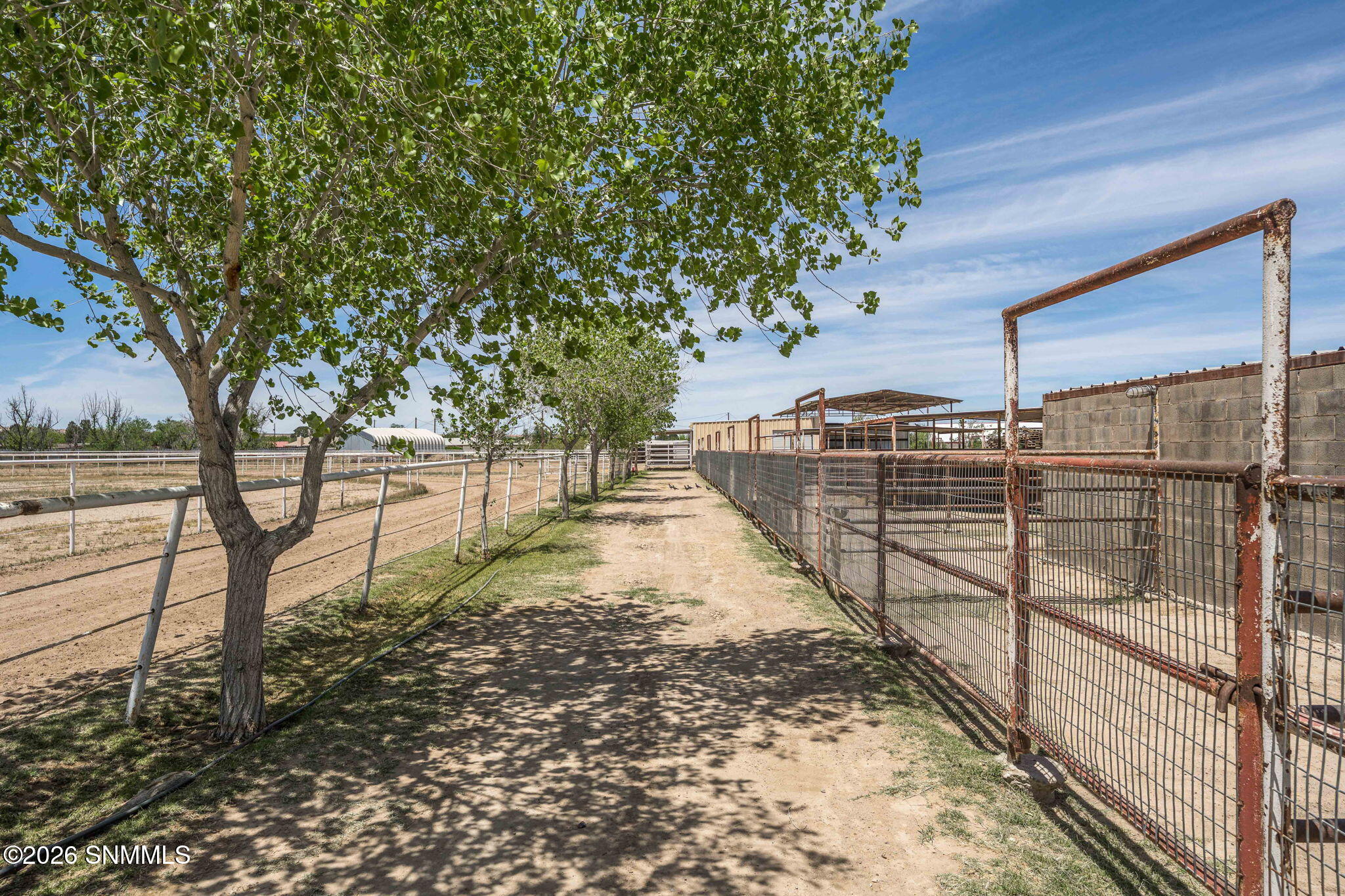 64-web-or-mls-Snappin Homes (Casad608)-6