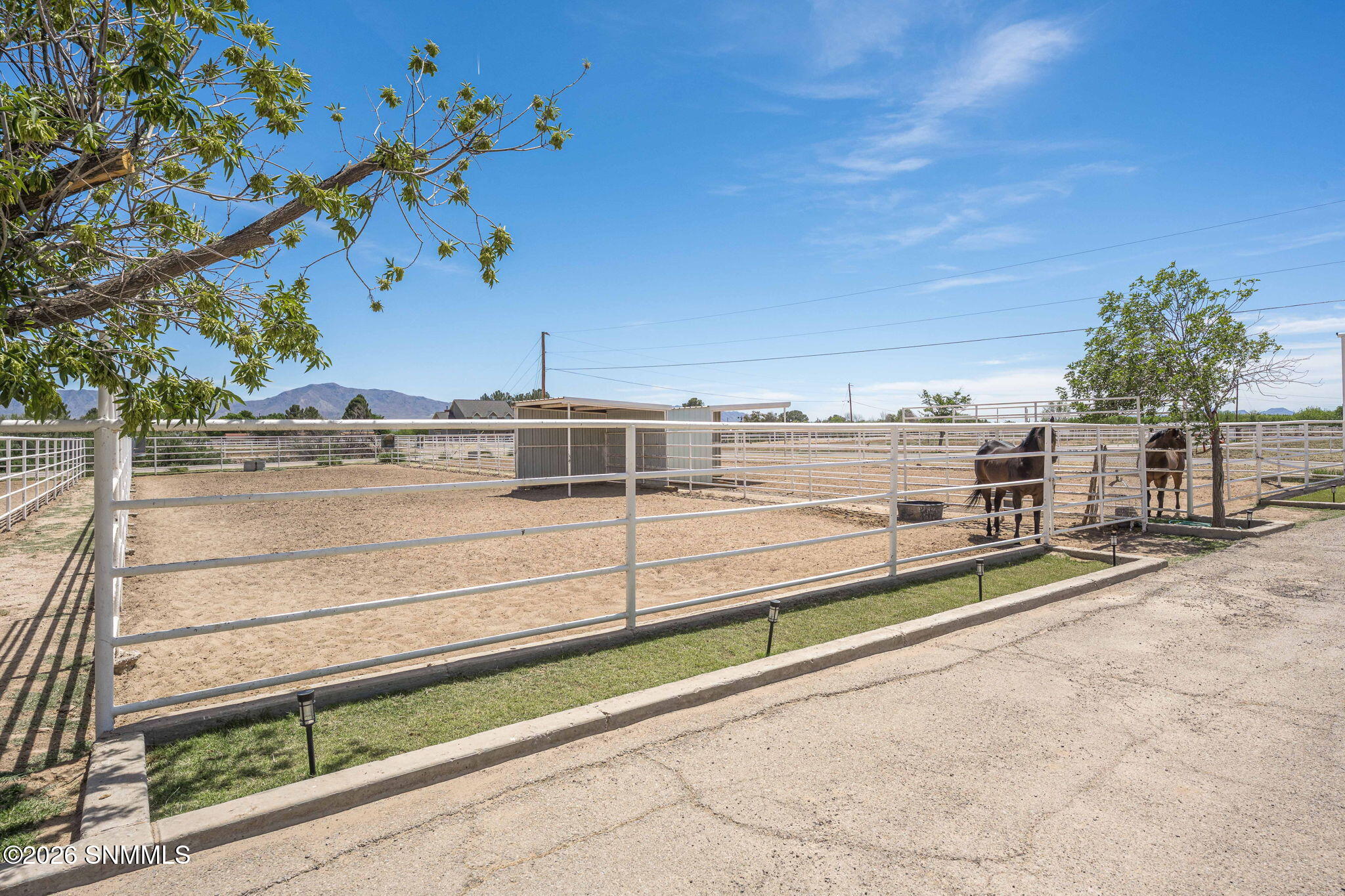 80-web-or-mls-Snappin Homes (Casad608)-8