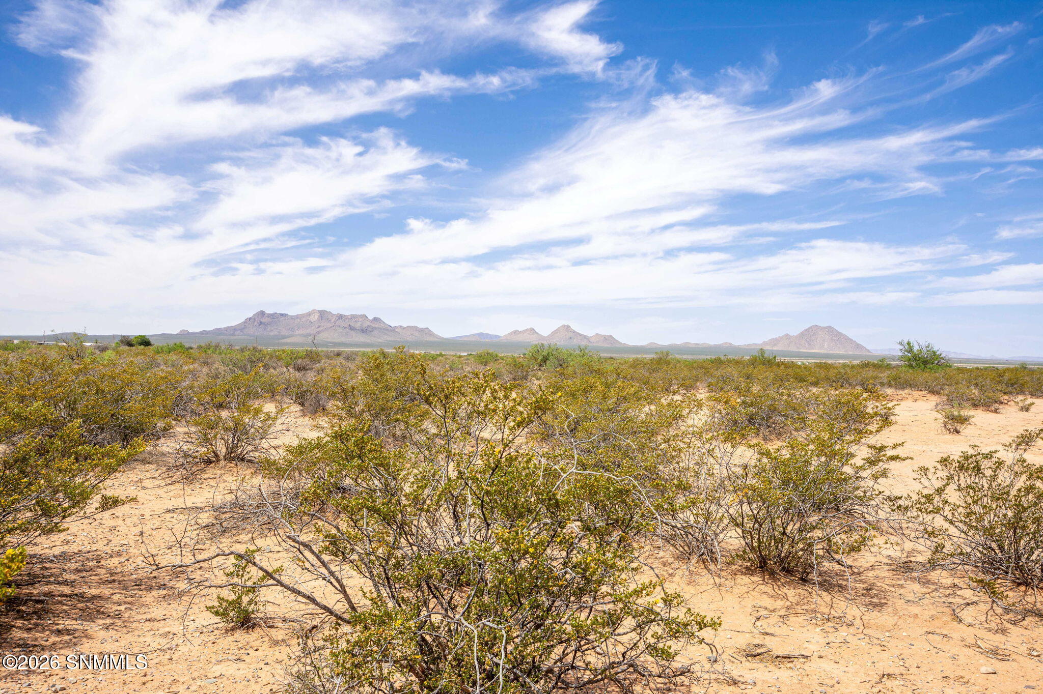 14-web-or-mls-Snappin Homes (R0322827)-1