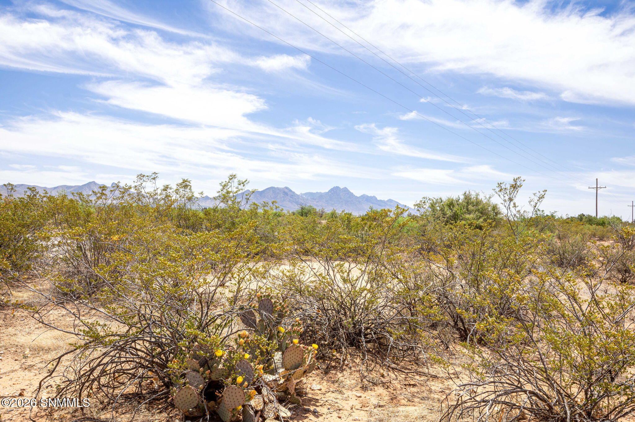 15-web-or-mls-Snappin Homes (R0322827)-1