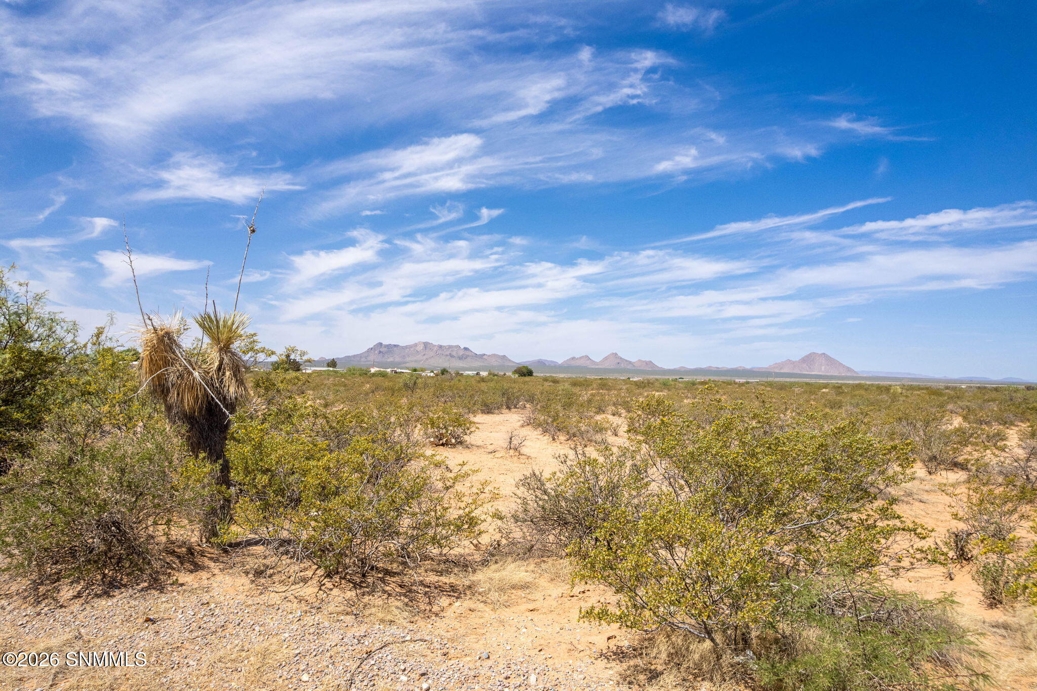 18-web-or-mls-Snappin Homes (R0322826)-1