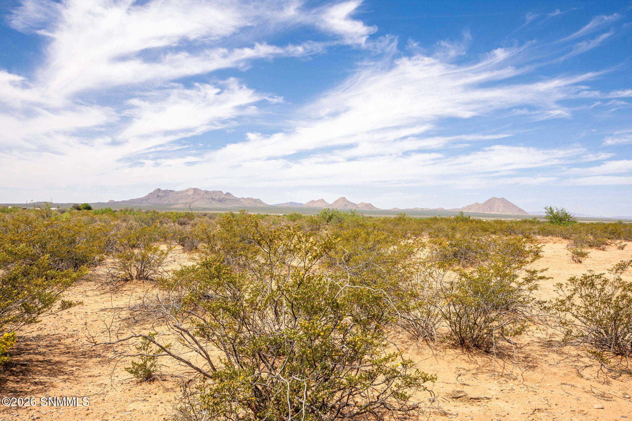 19-web-or-mls-Snappin Homes (R0322826)-1