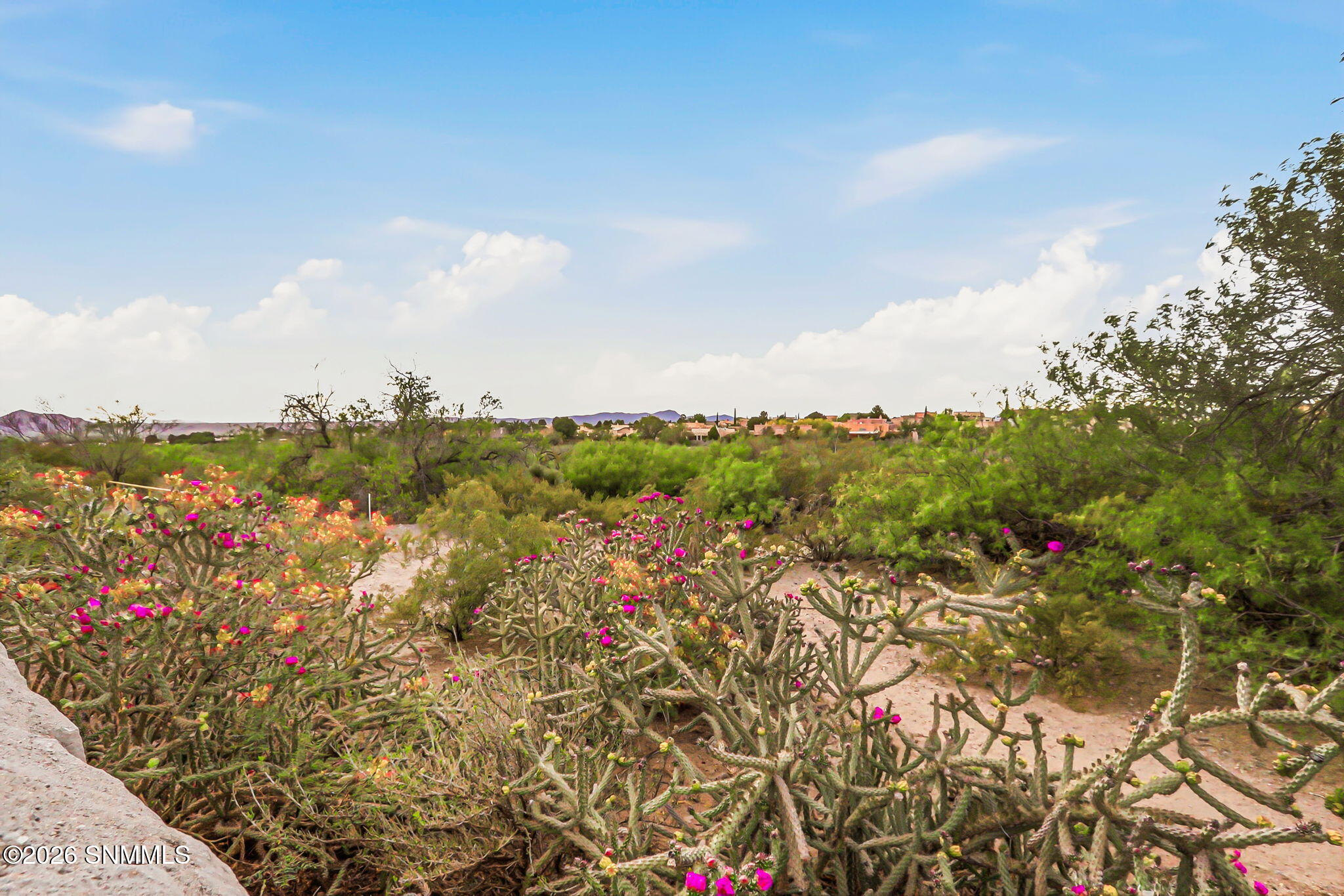 36-web-or-mls-IMG_0719