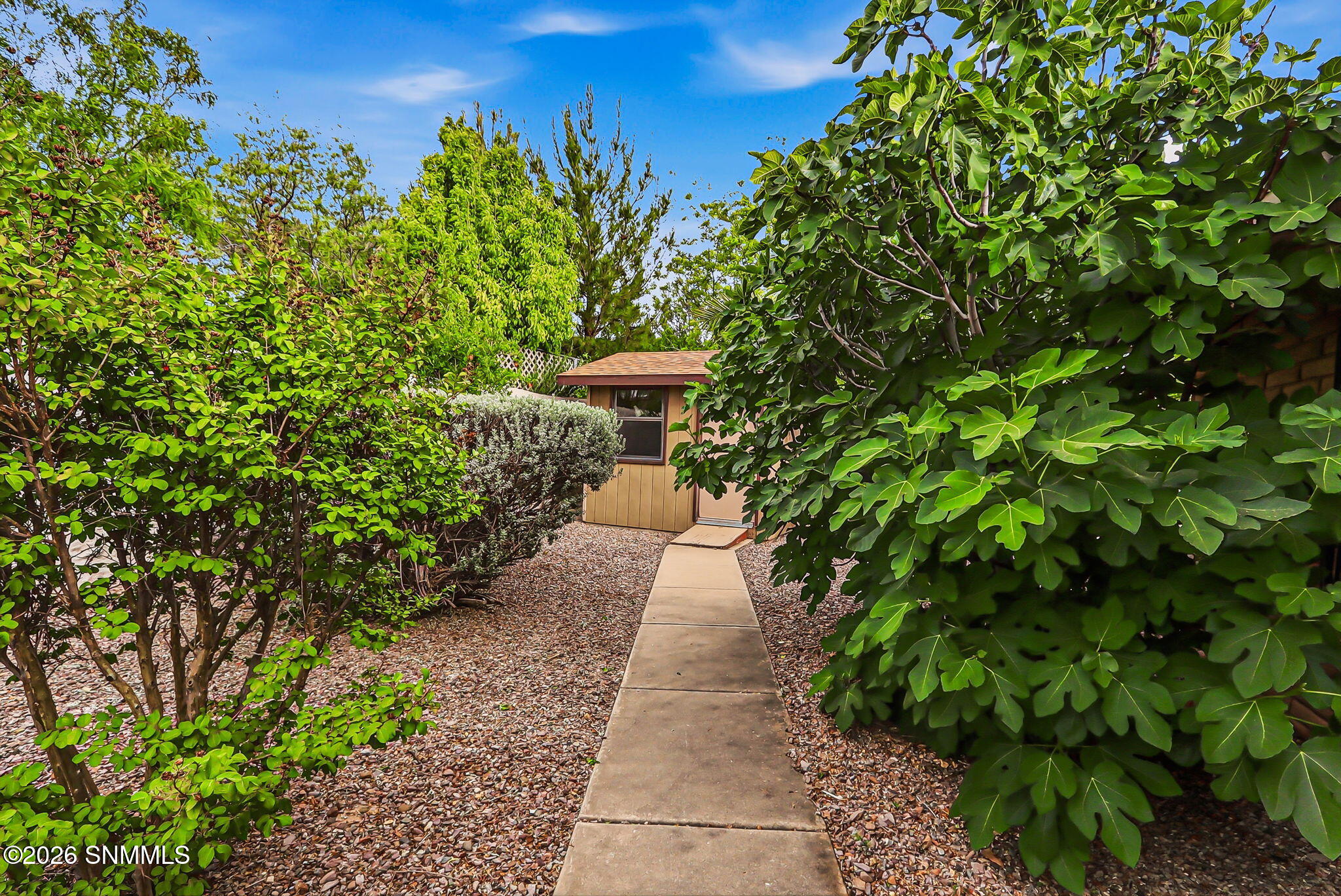 41-web-or-mls-IMG_0754