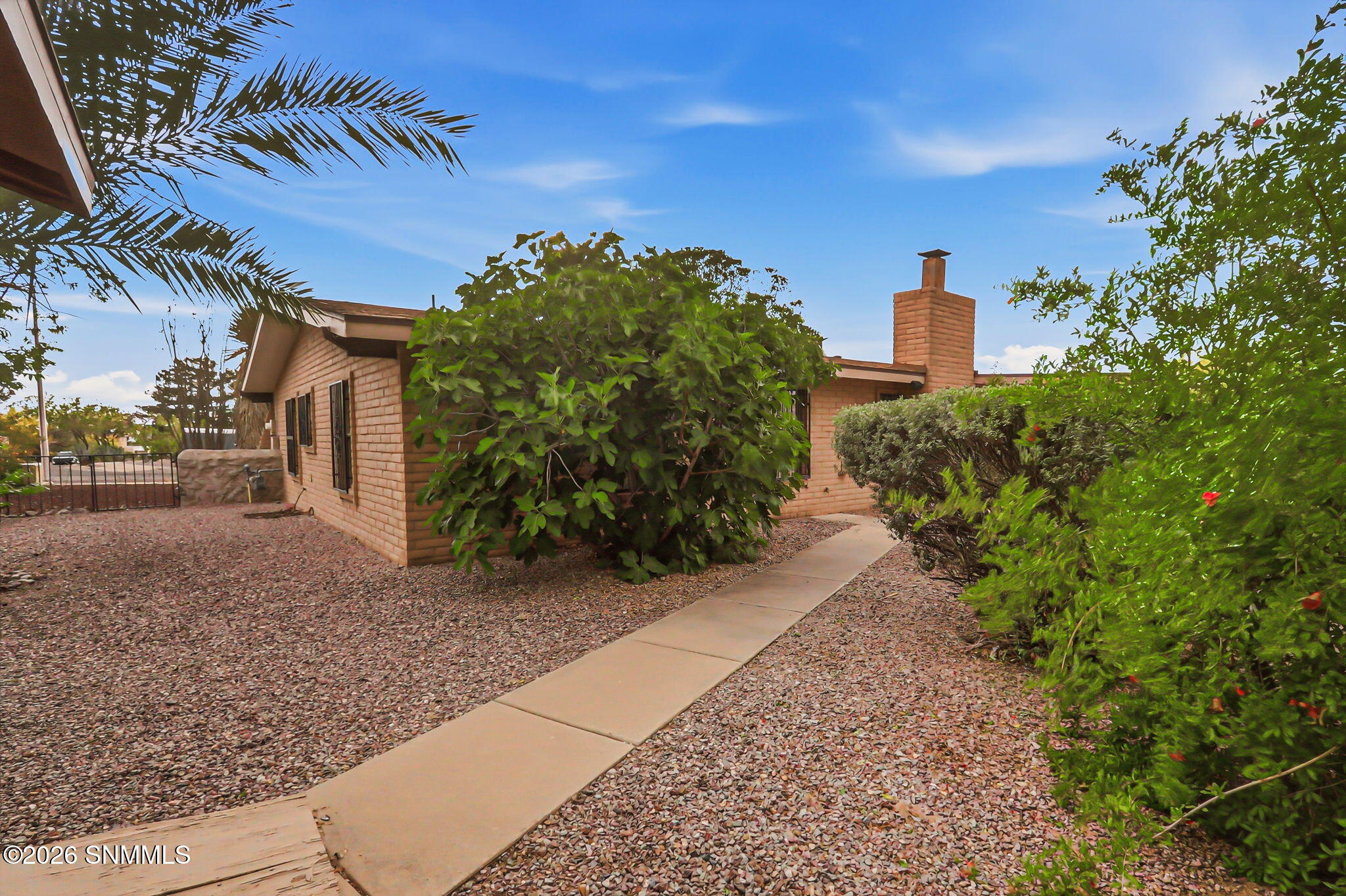 43-web-or-mls-IMG_0768