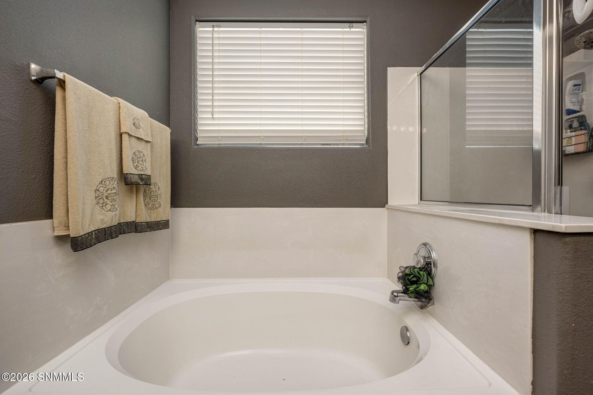 17-web-or-mls-Snappin Homes (EastMesa574