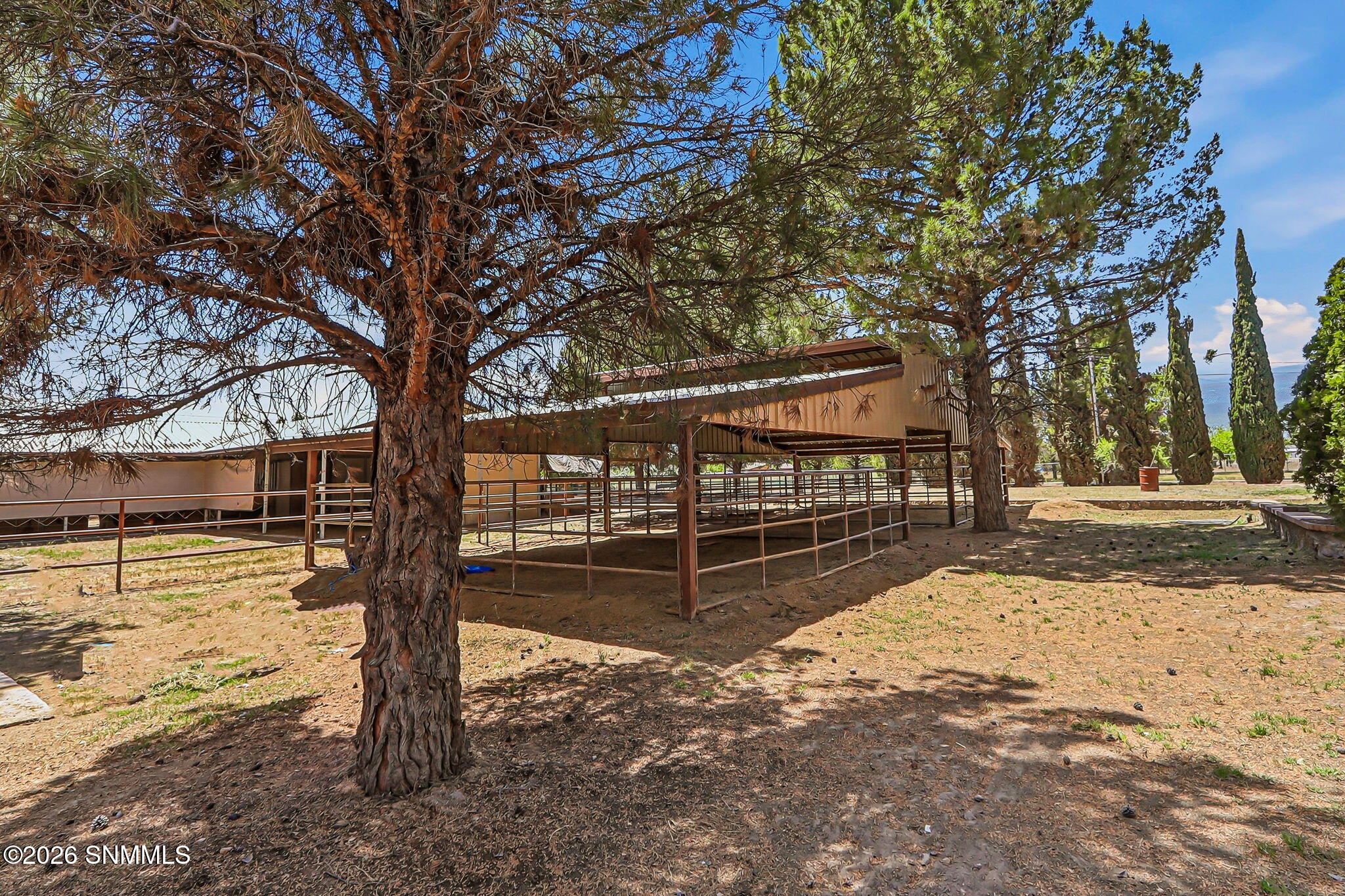 34-web-or-mls-IMG_1701 (1)