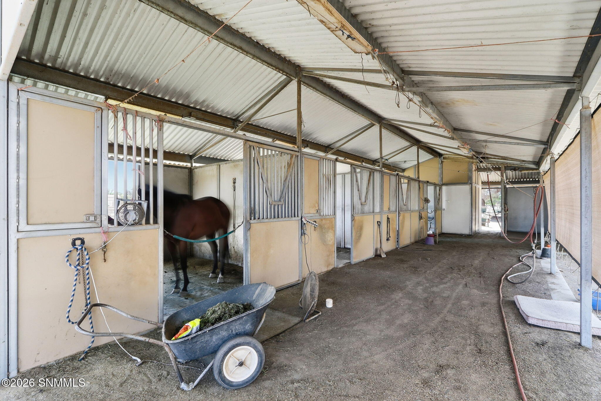 41-web-or-mls-IMG_1743 (1)