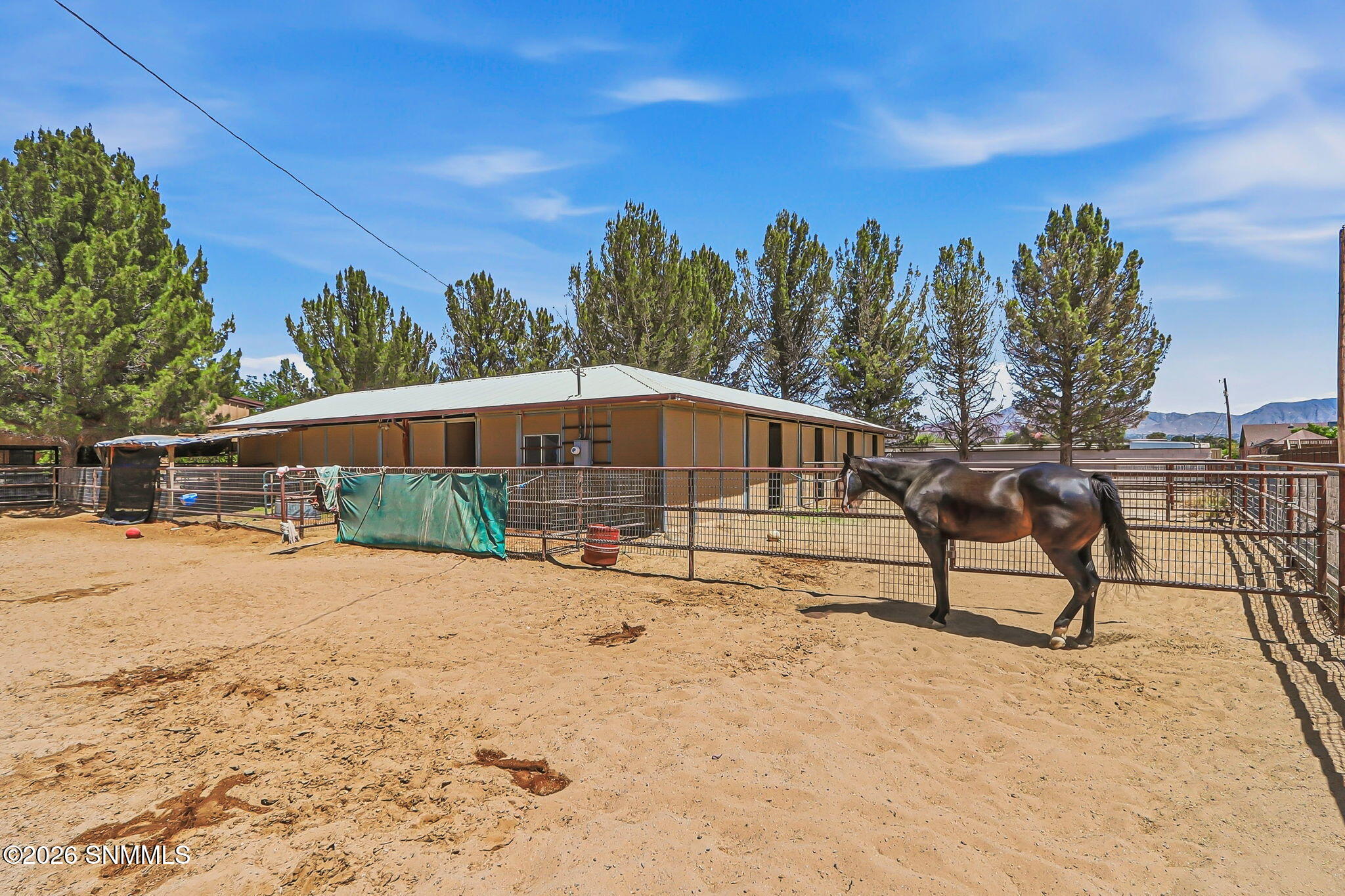 42-web-or-mls-IMG_1751 (1)