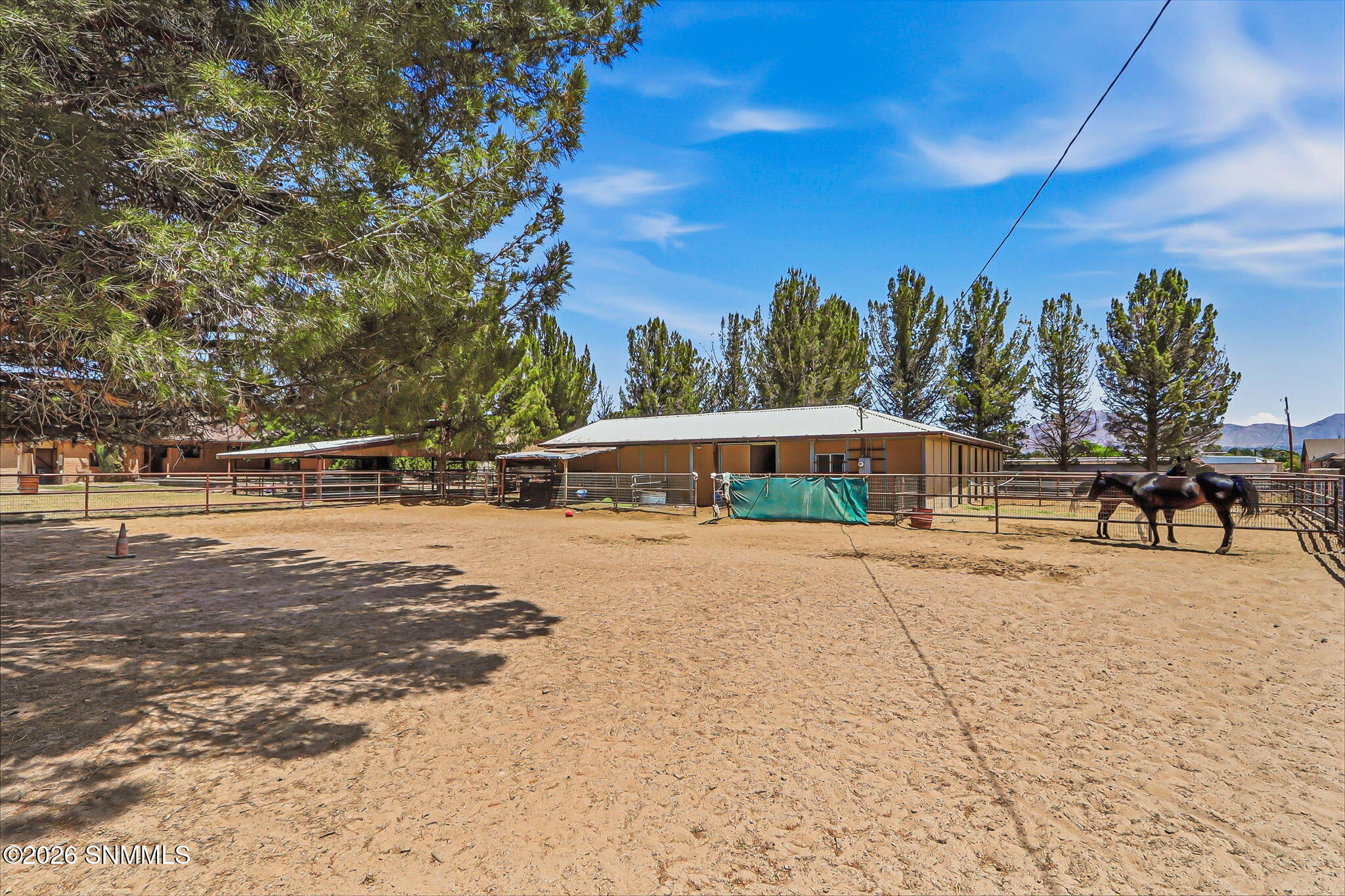 43-web-or-mls-IMG_1757 (1)