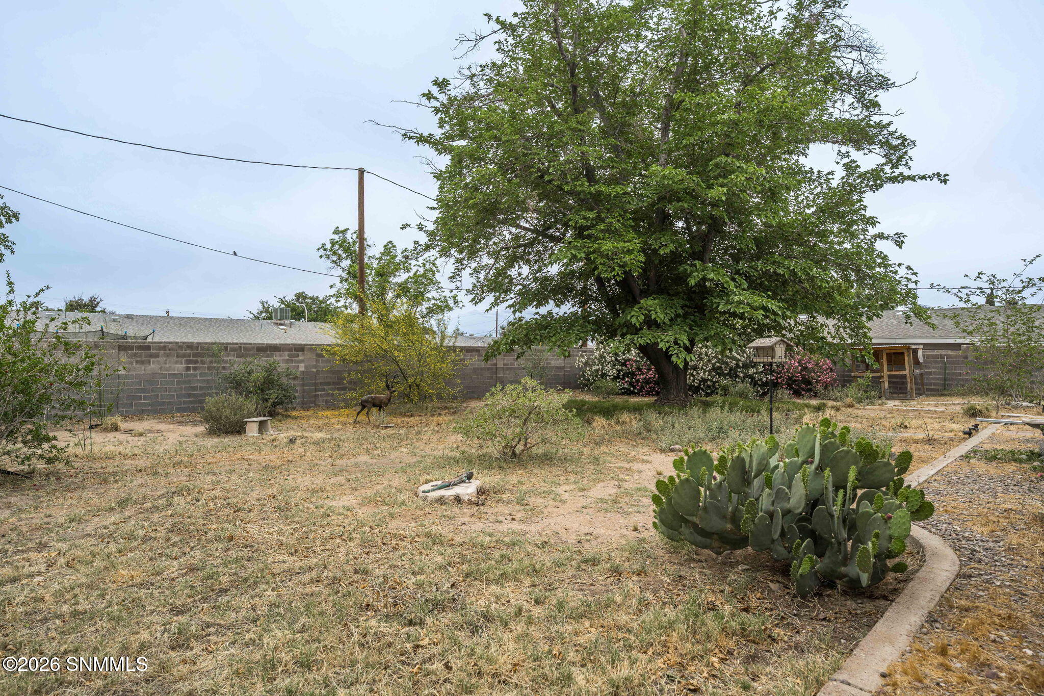 37-web-or-mls-Snappin Homes (Valencia167