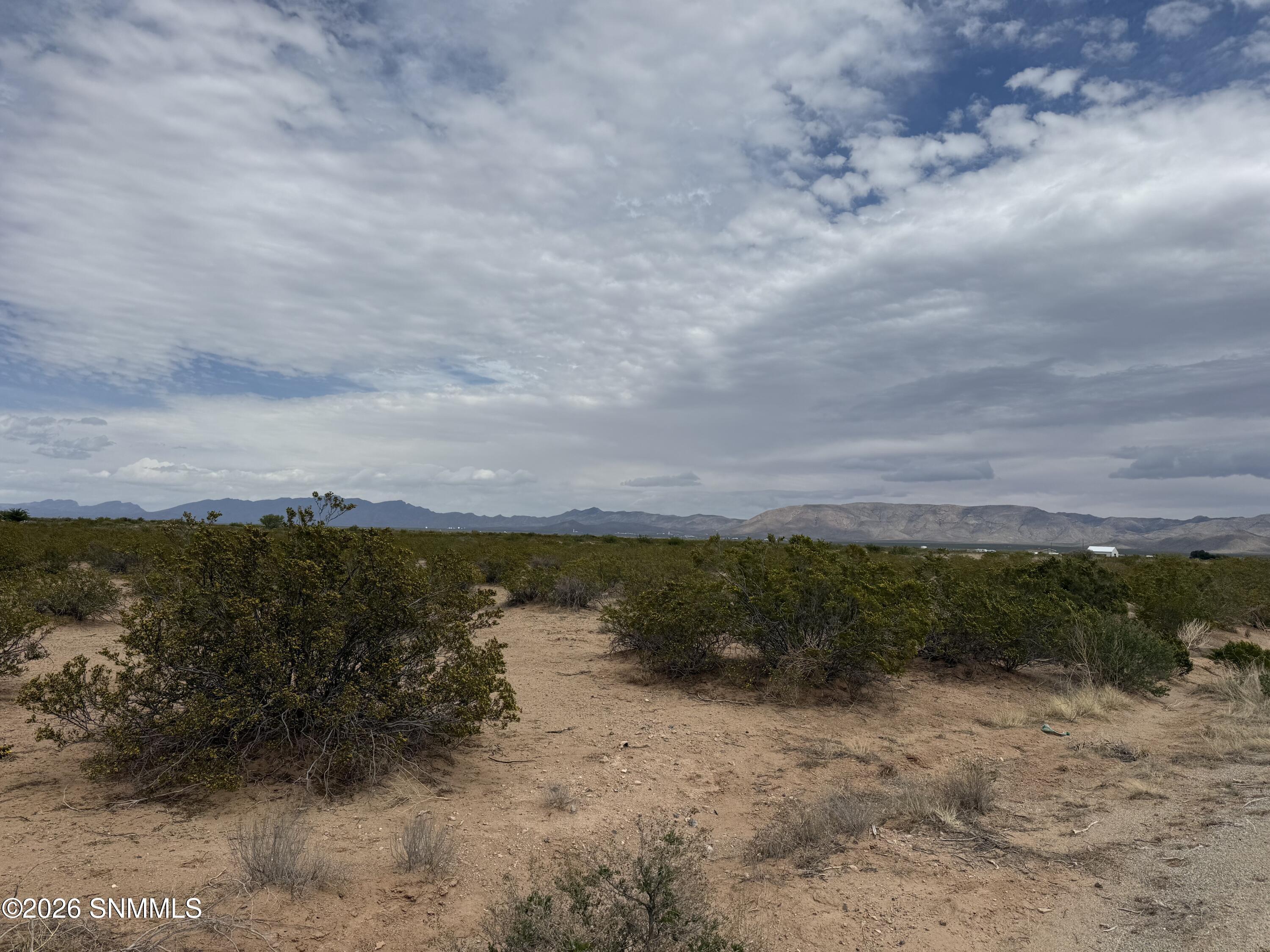 Desert