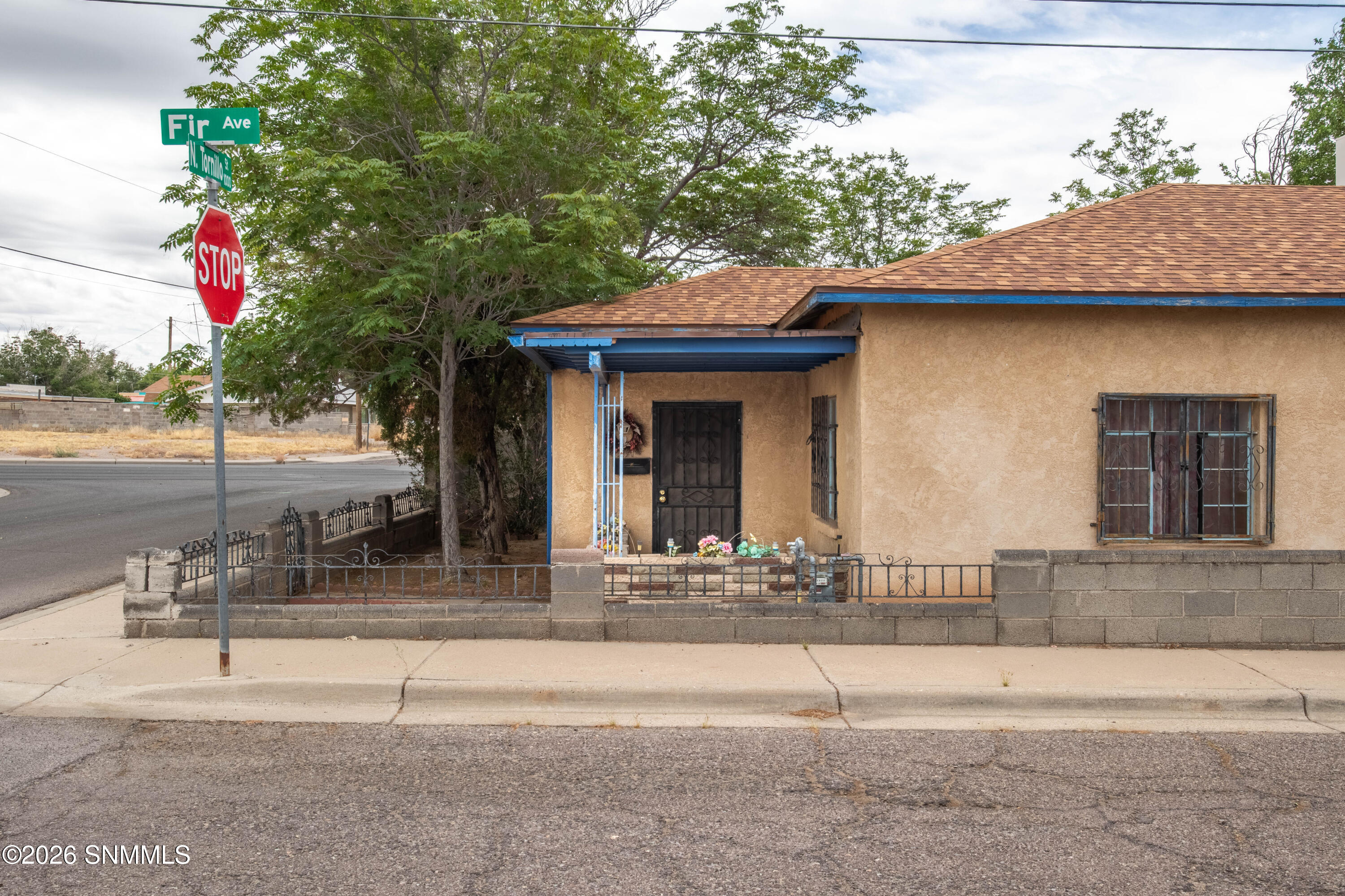 NTornillo-2