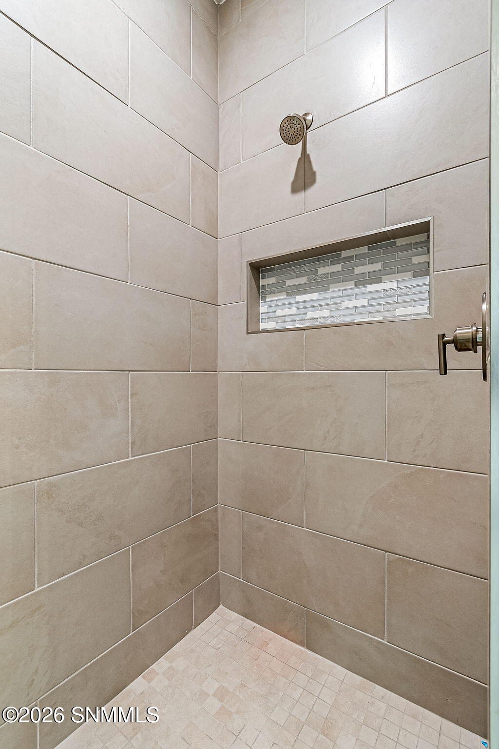 Primary Walk-in Shower