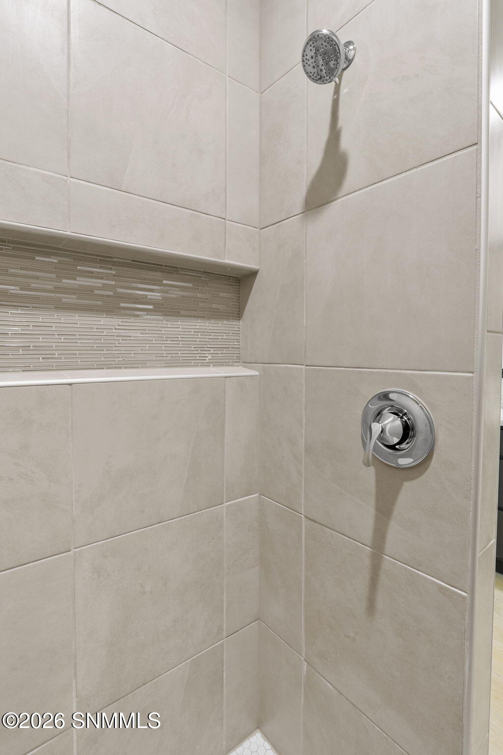 Primary Walk-in Shower