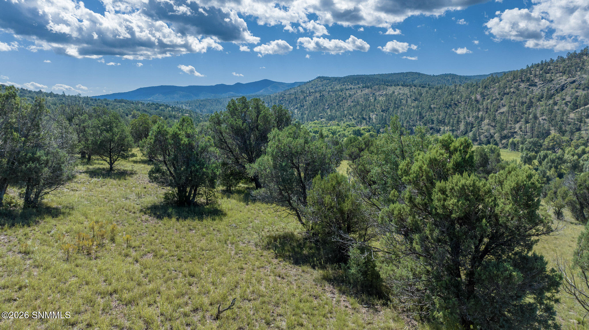 25-Lot 4A Monsoon Season 2