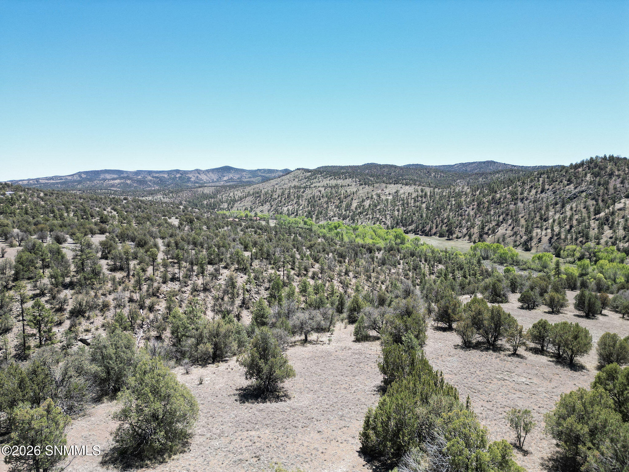 13-DJI_0361