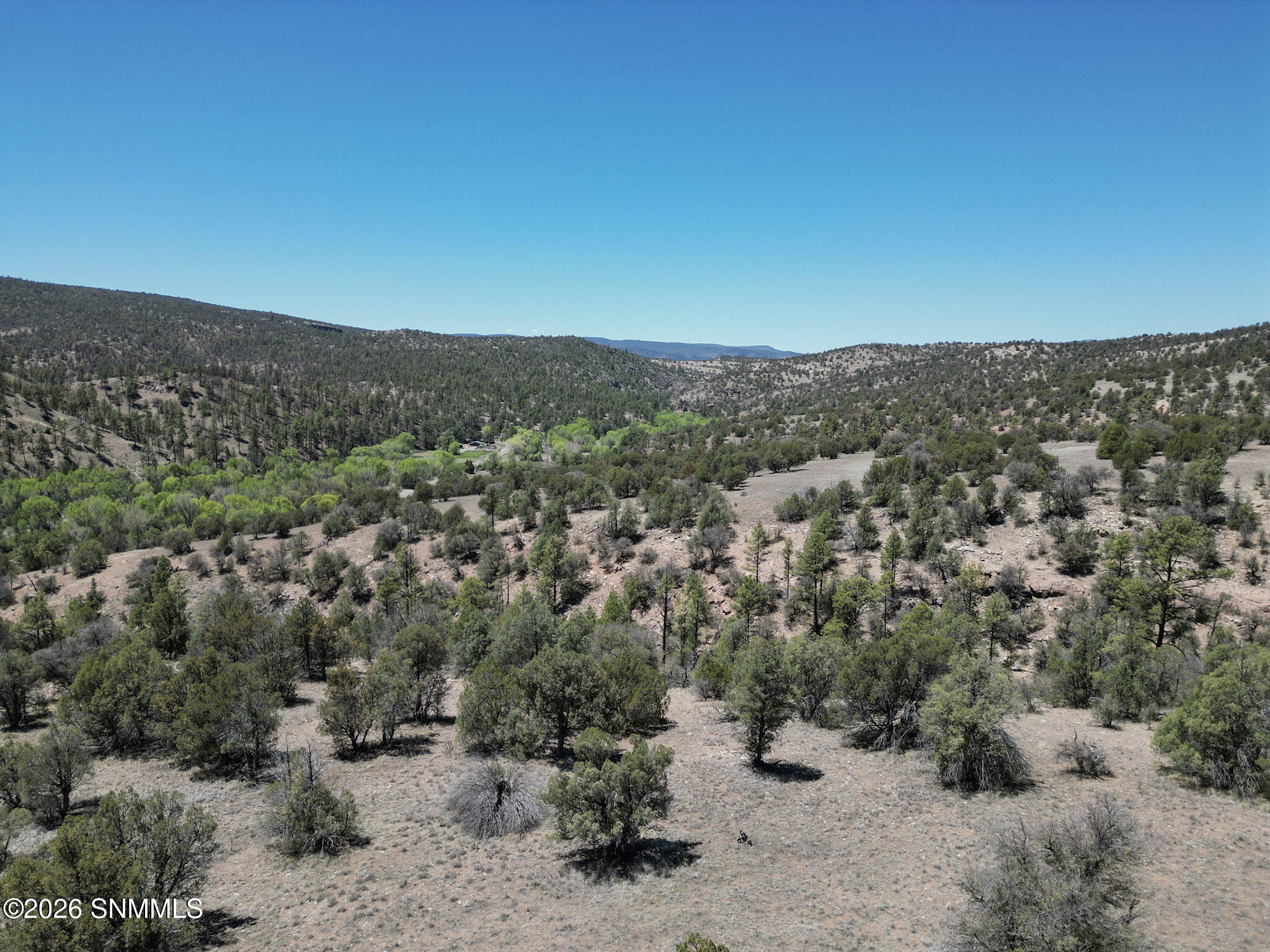 11-DJI_0299