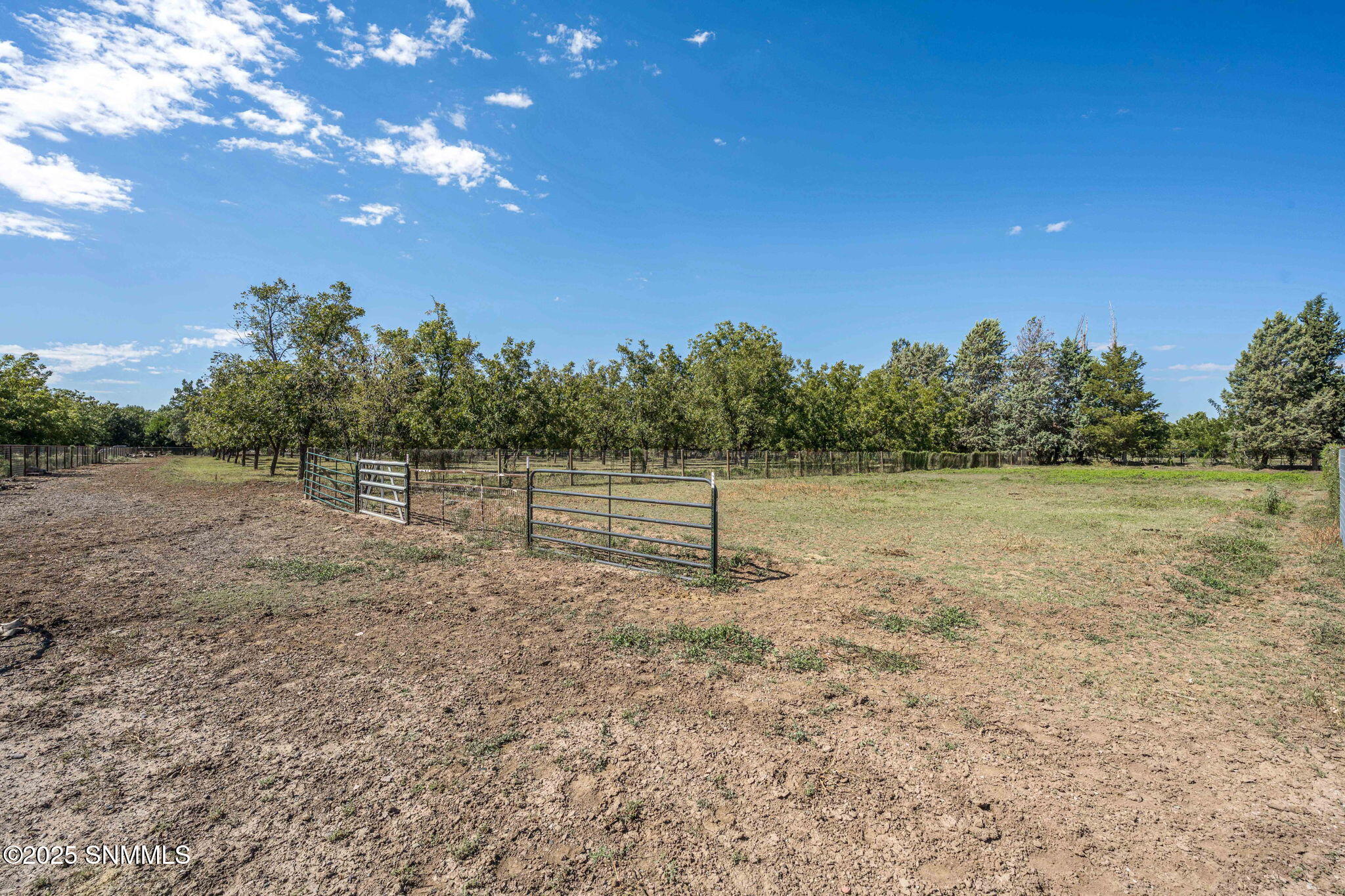 66-web-or-mls-Snappin Homes (Snow3044)-6