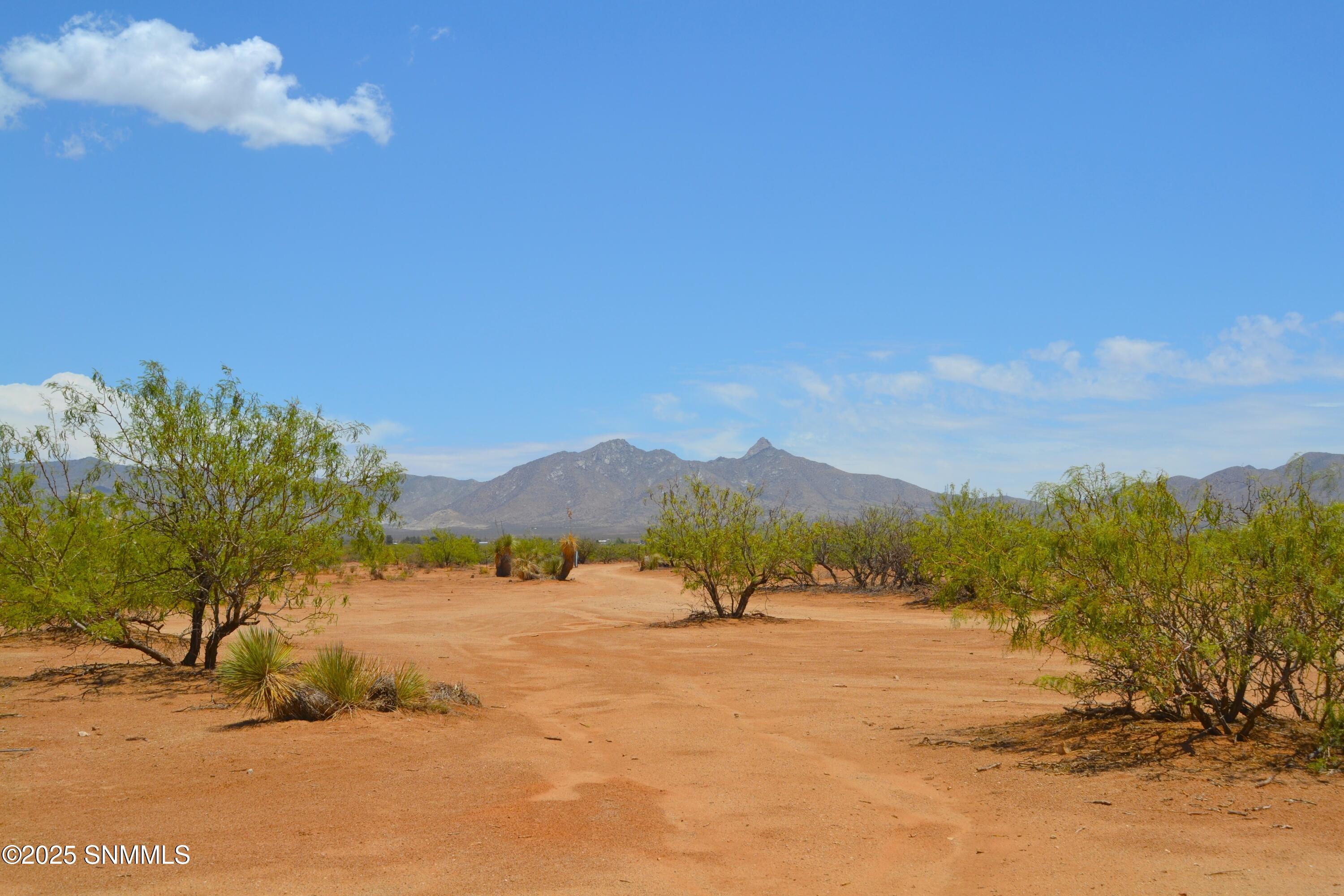 NE View