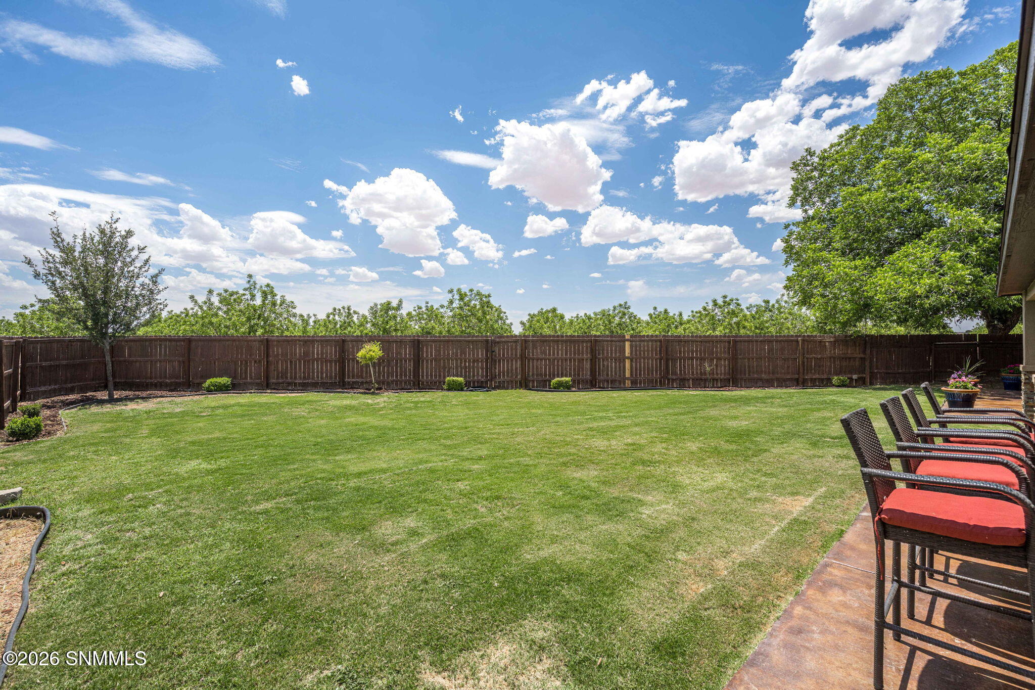 41-web-or-mls-Snappin Homes (Afton350)-4
