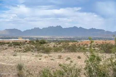 597 Tingo Circle, Las Cruces, New Mexico 88011, ,Land,For Sale,Tingo,2601610