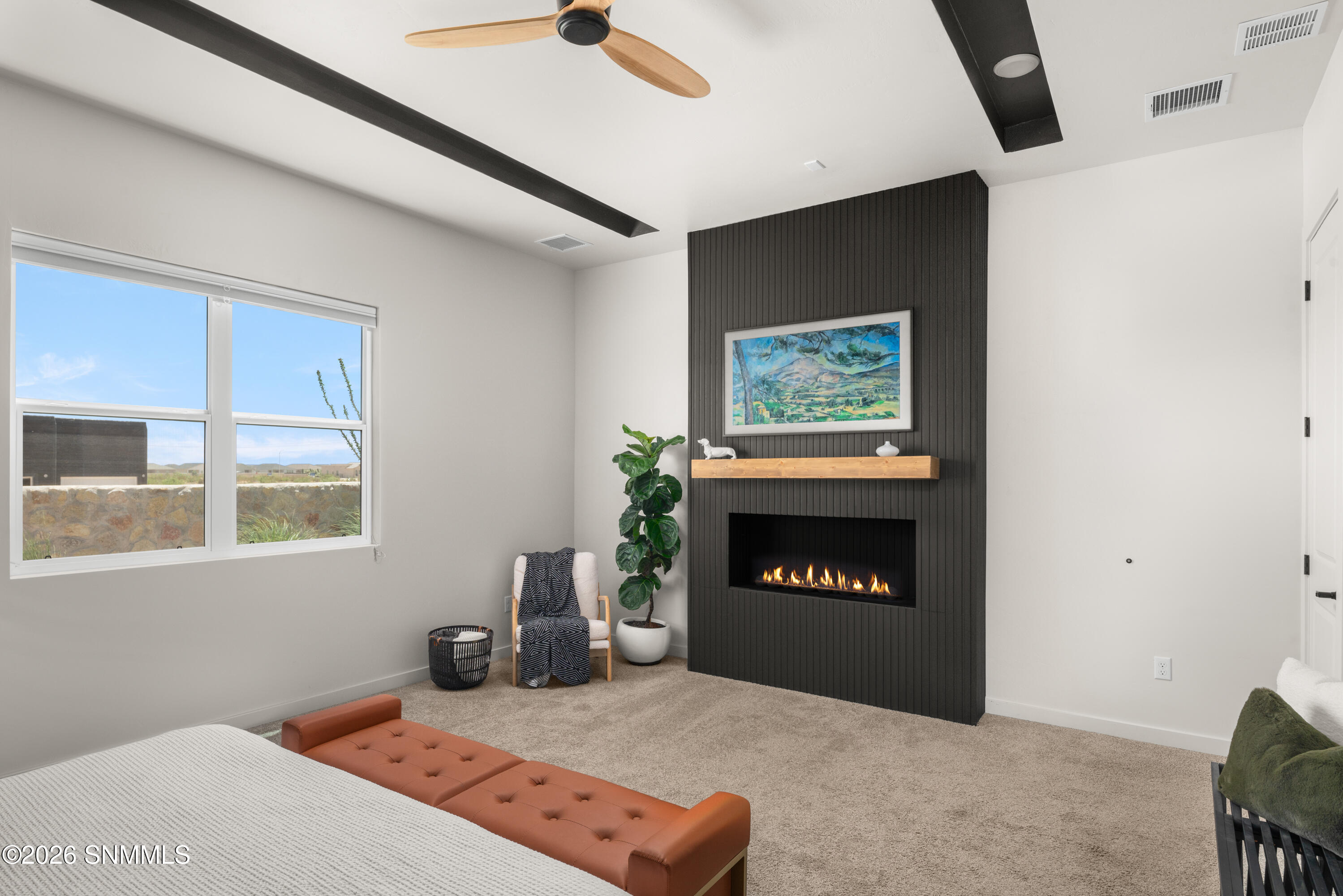 Primary Fireplace