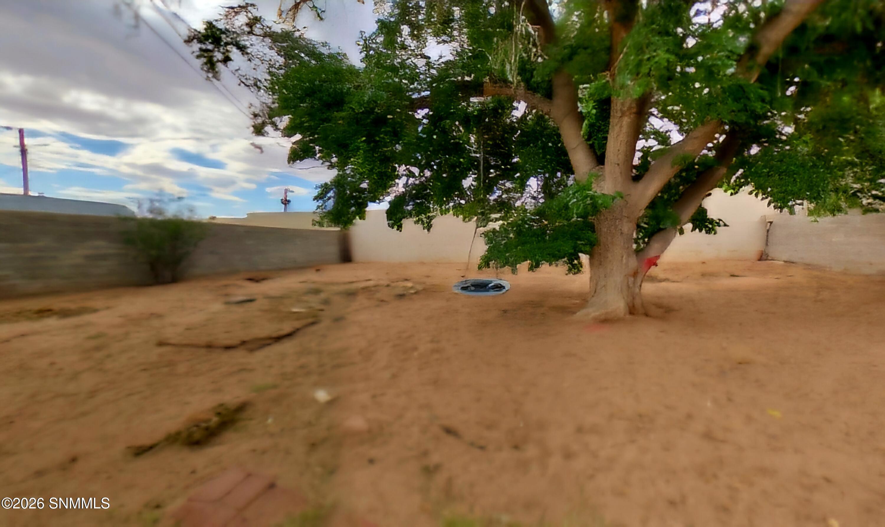 Backyard