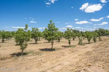 LOT 3 TBD Old River Road, Las Cruces, New Mexico 88005, ,Farm,For Sale,Old River Road,2601680
