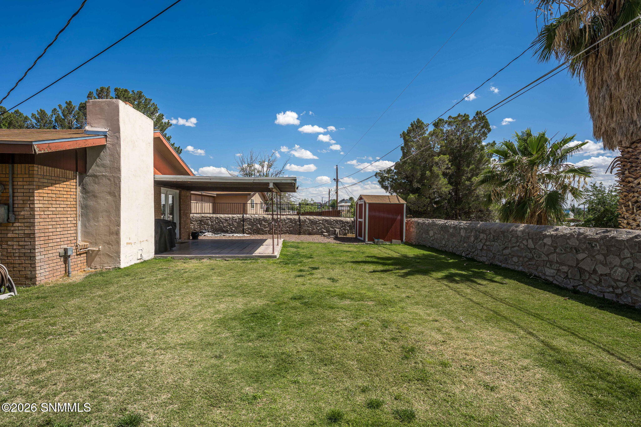 35_Patty Olson_Bromilow_Las Cruces