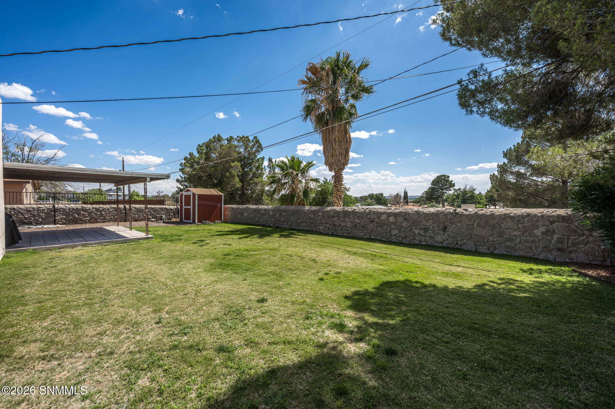 36_Patty Olson_Bromilow_Las Cruces