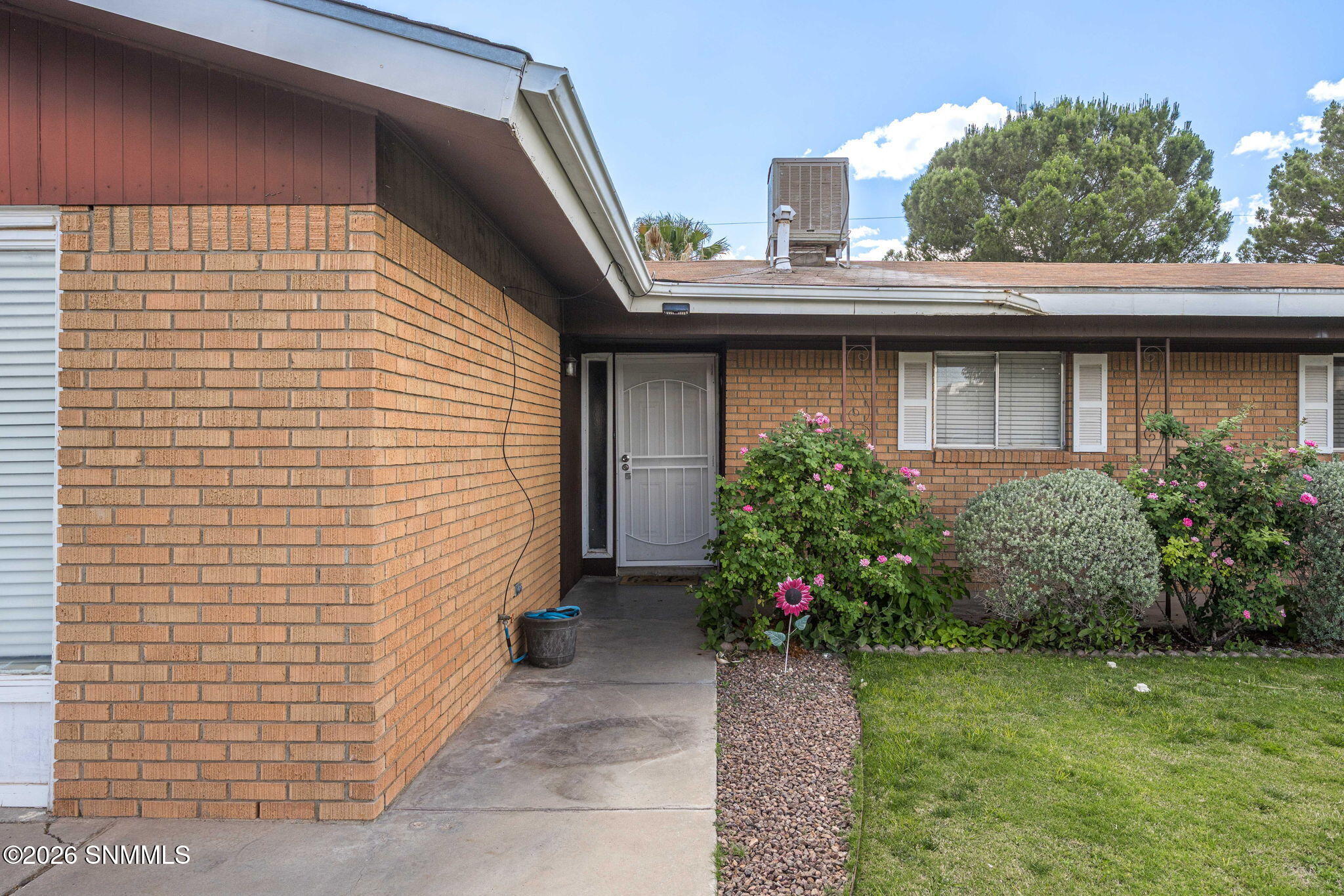 4_Patty Olson_Bromilow_Las Cruces
