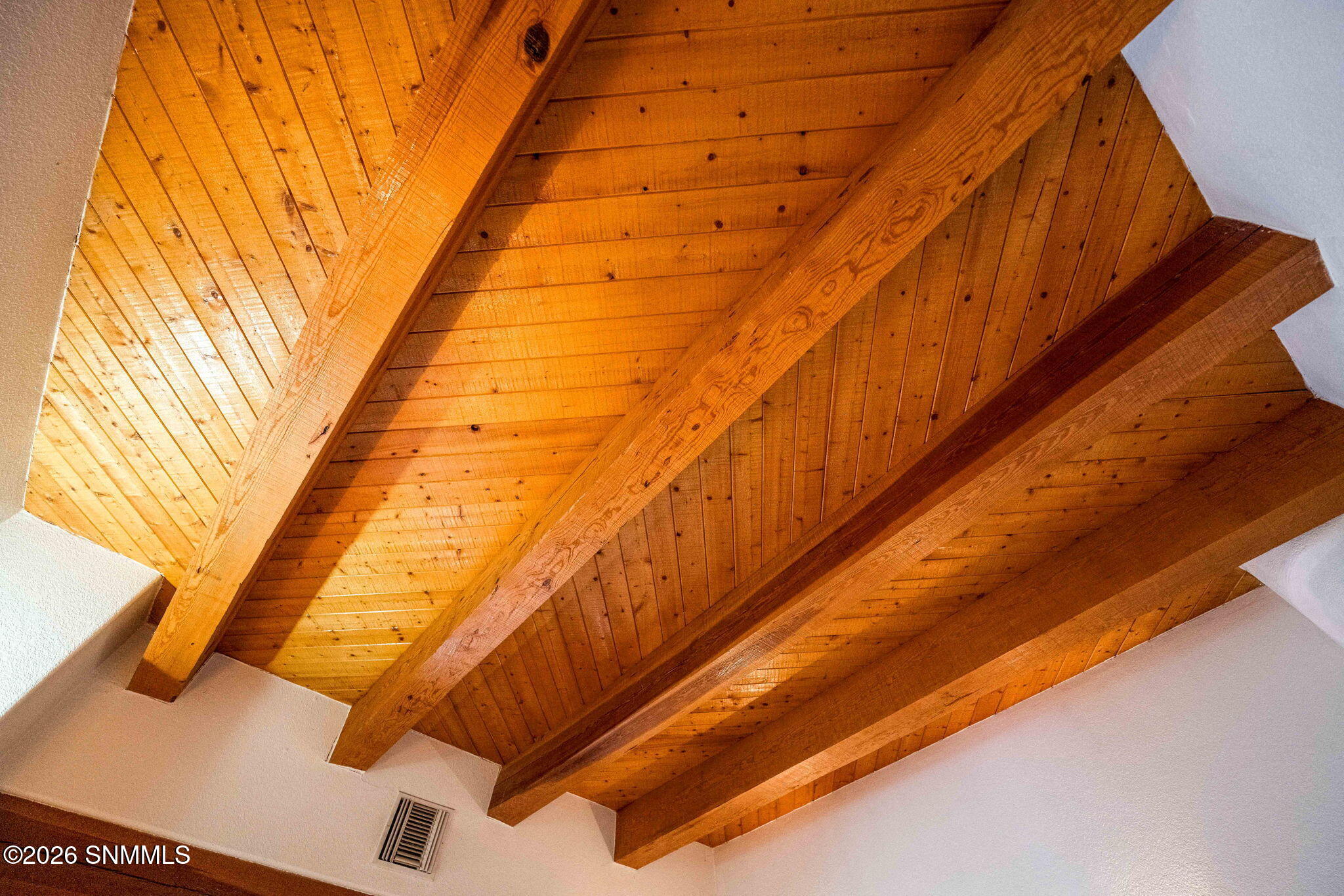 15-web-or-mls-Snappin Homes (Ironshoe945