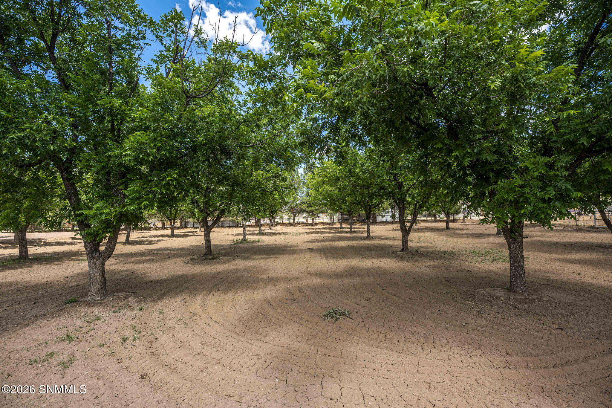 74-web-or-mls-Snappin Homes (Ironshoe945