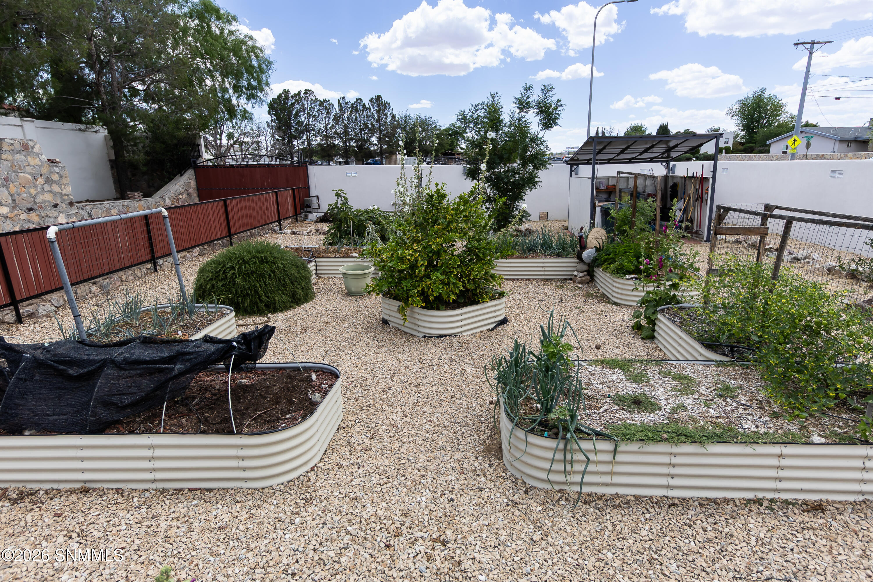 Container gardens