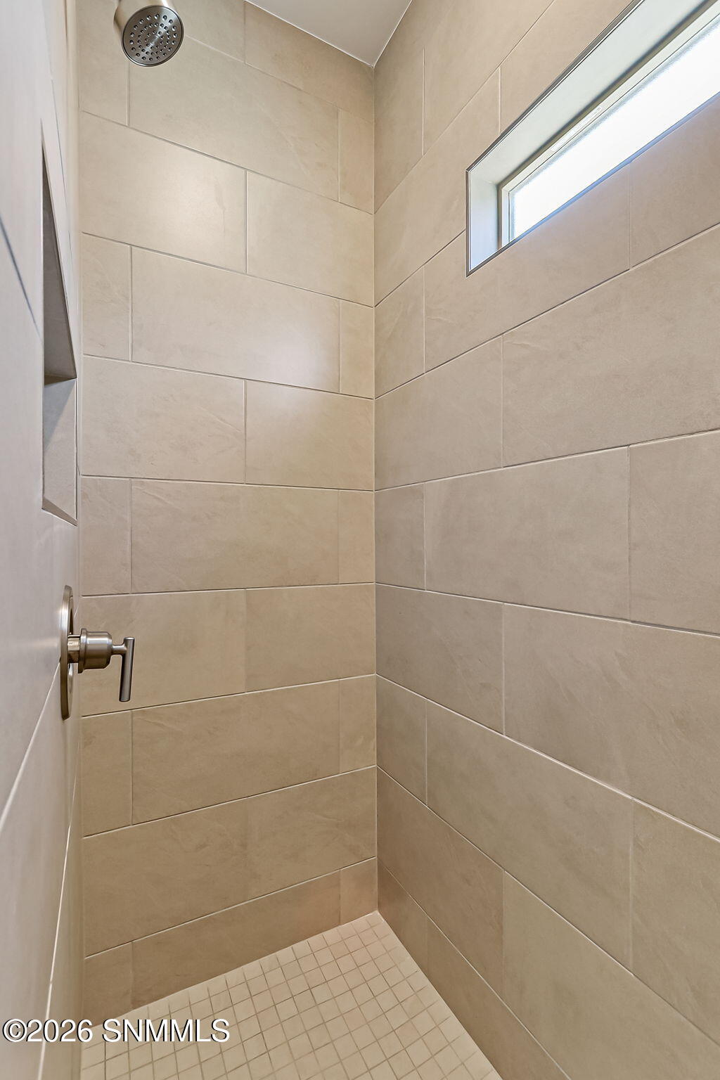 Primary Walk-in Shower
