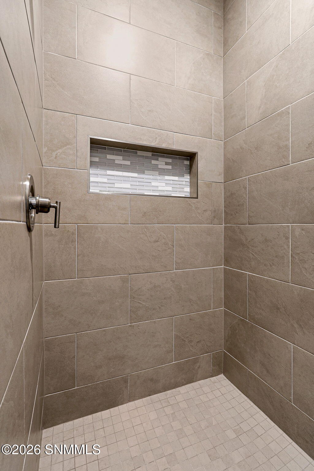Primary Walk-in Shower